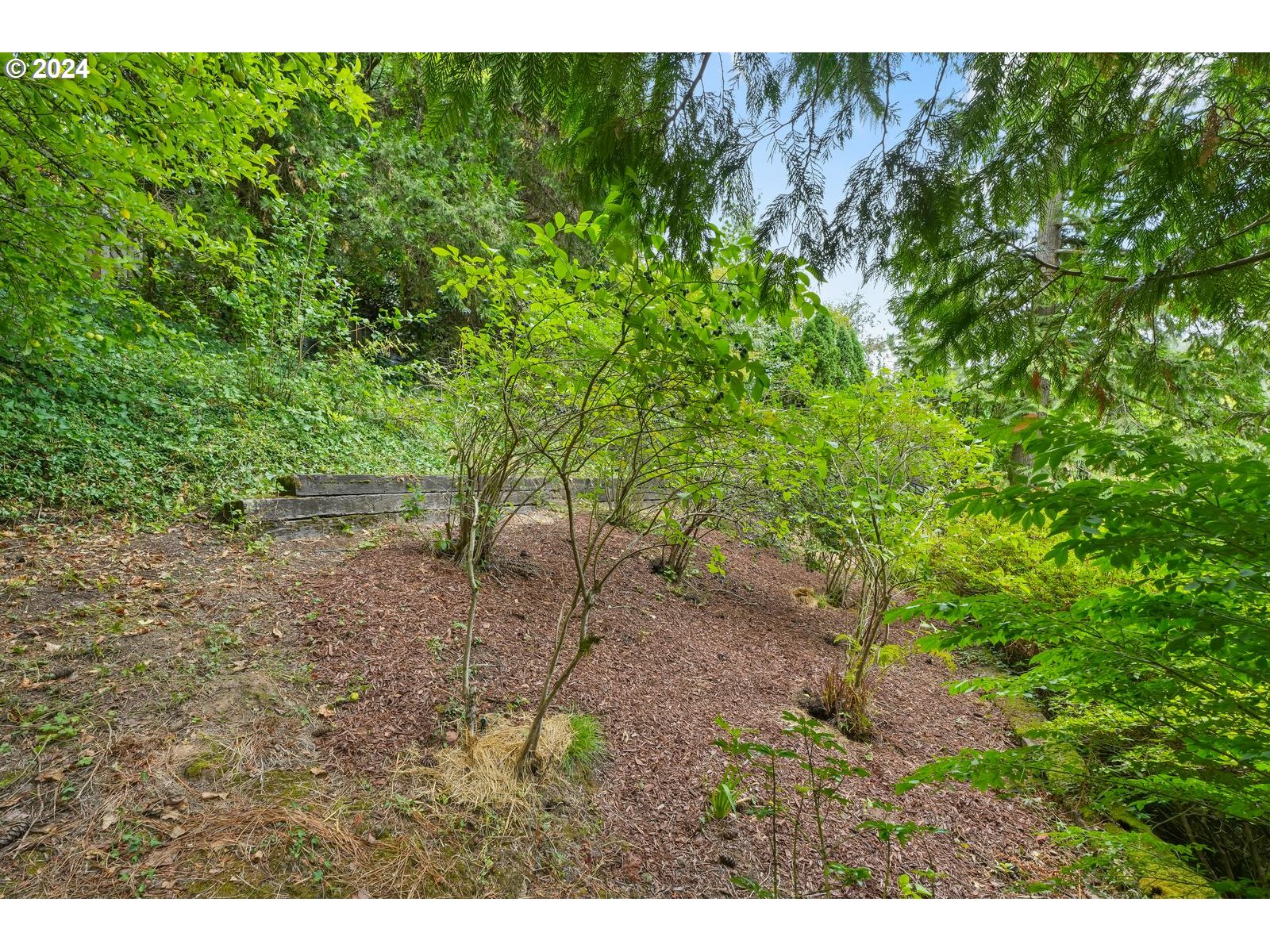 2845 SW BUCHAREST CT