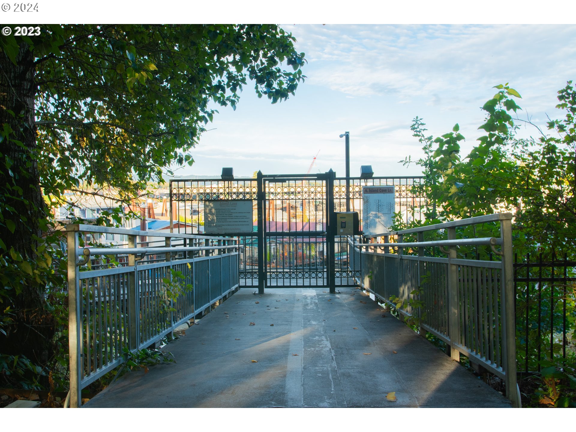 11668 N Island Cove LN