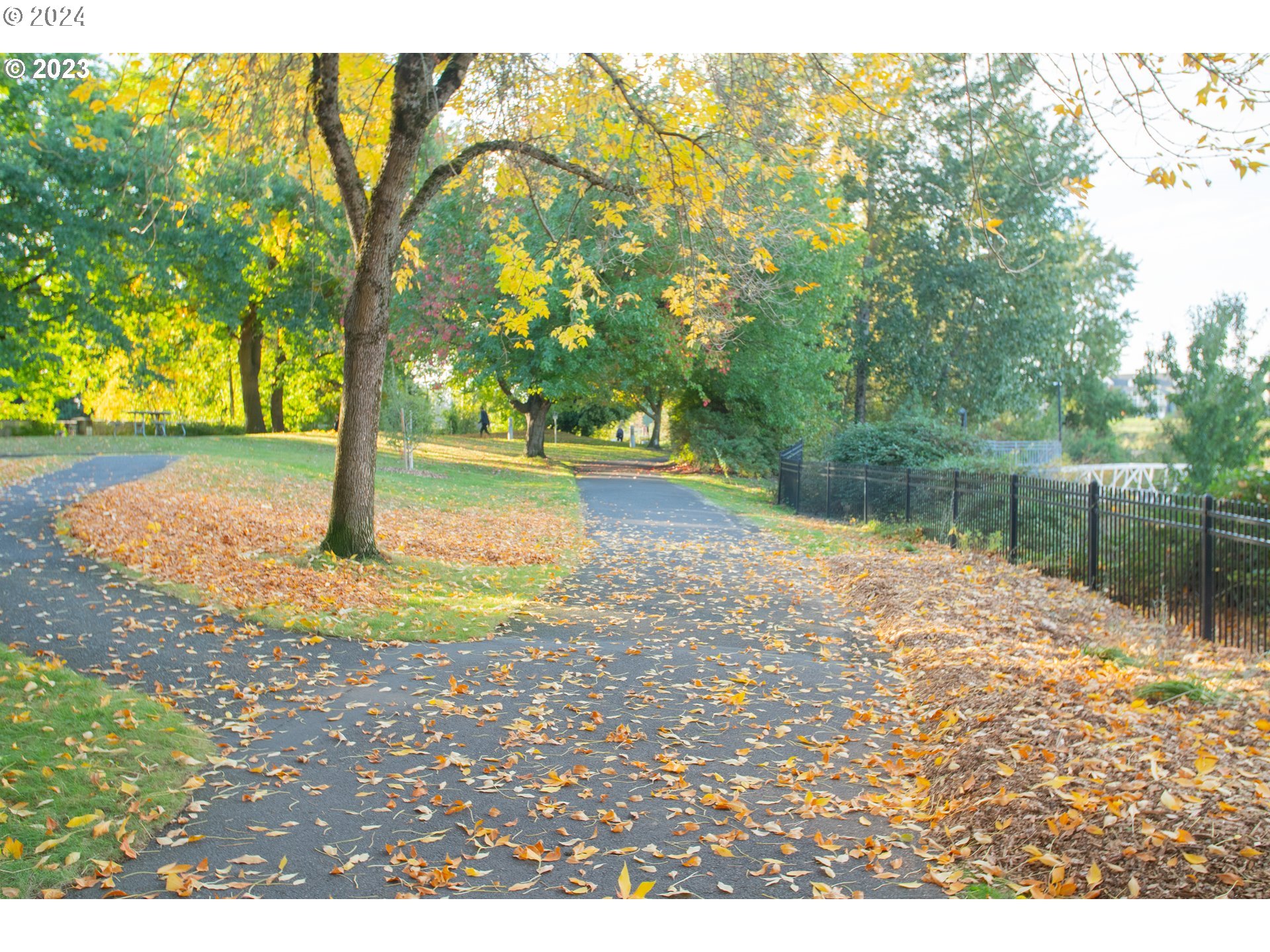 11668 N Island Cove LN