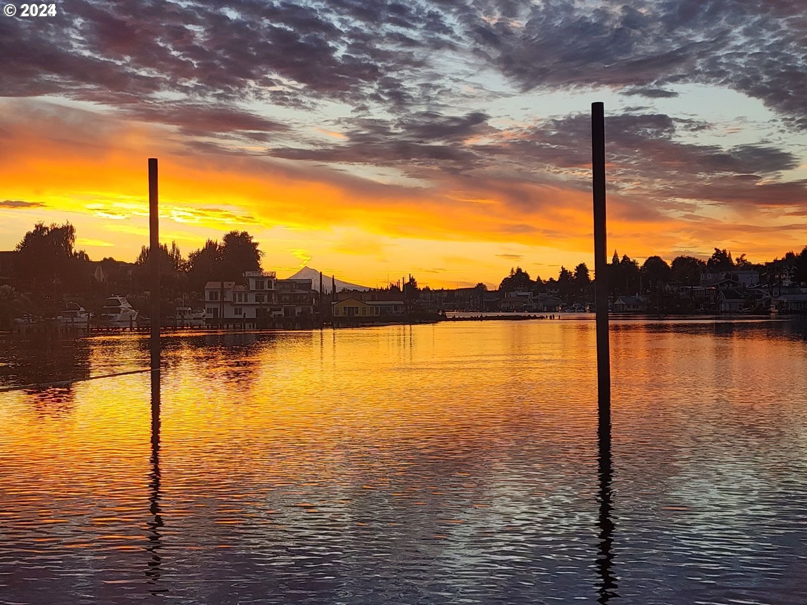 11668 N Island Cove LN