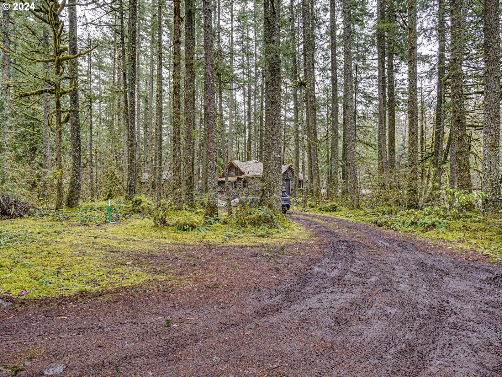 75402 E ZIG ZAG MOUNTAIN RD