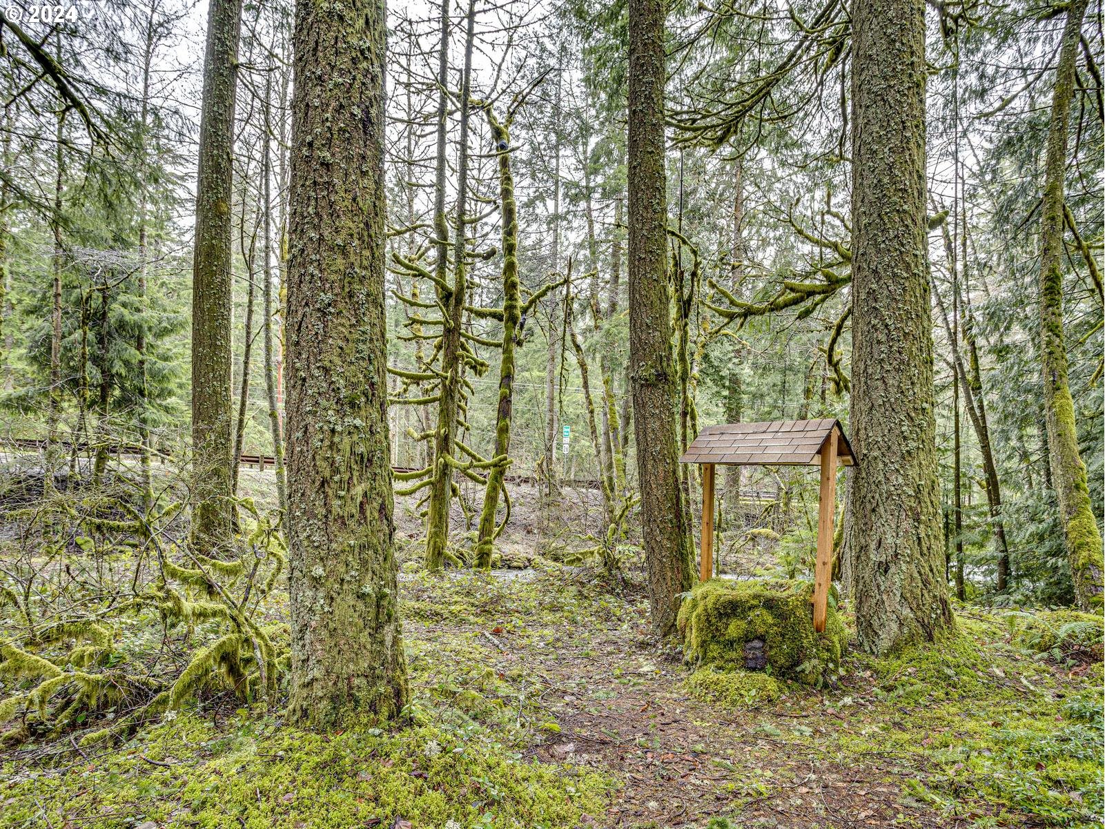 75402 E ZIG ZAG MOUNTAIN RD