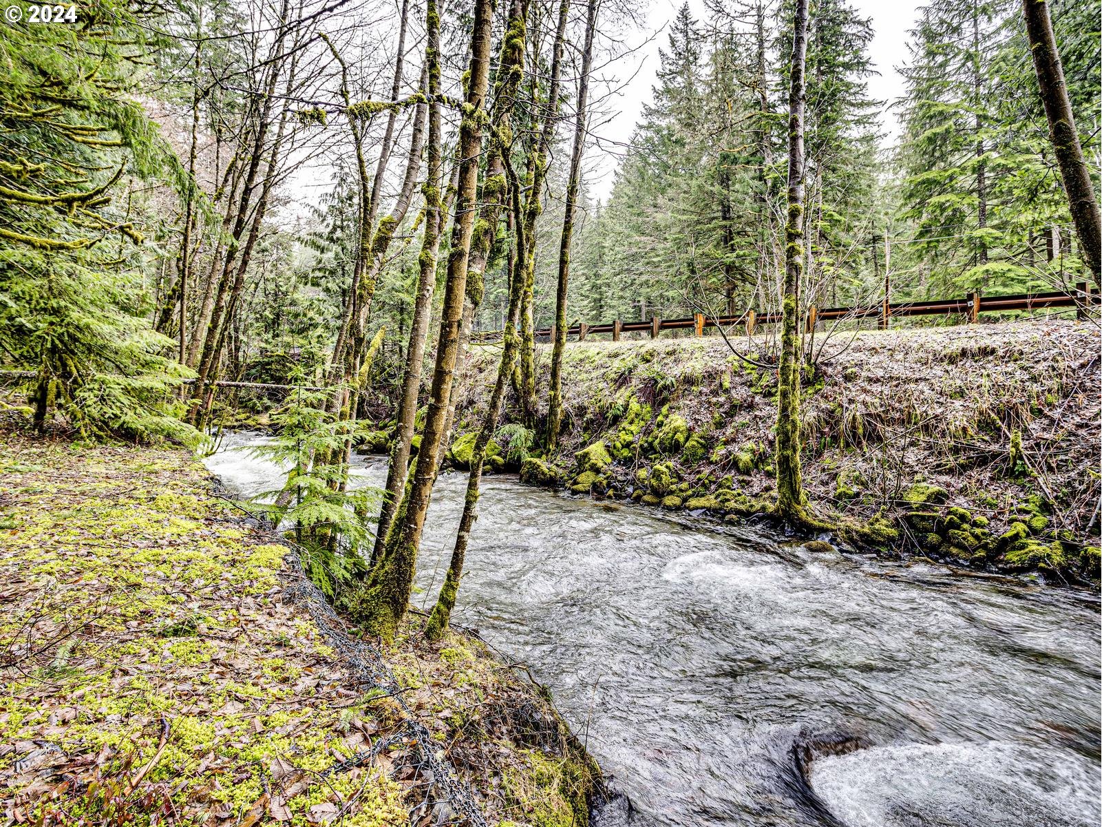 75402 E ZIG ZAG MOUNTAIN RD