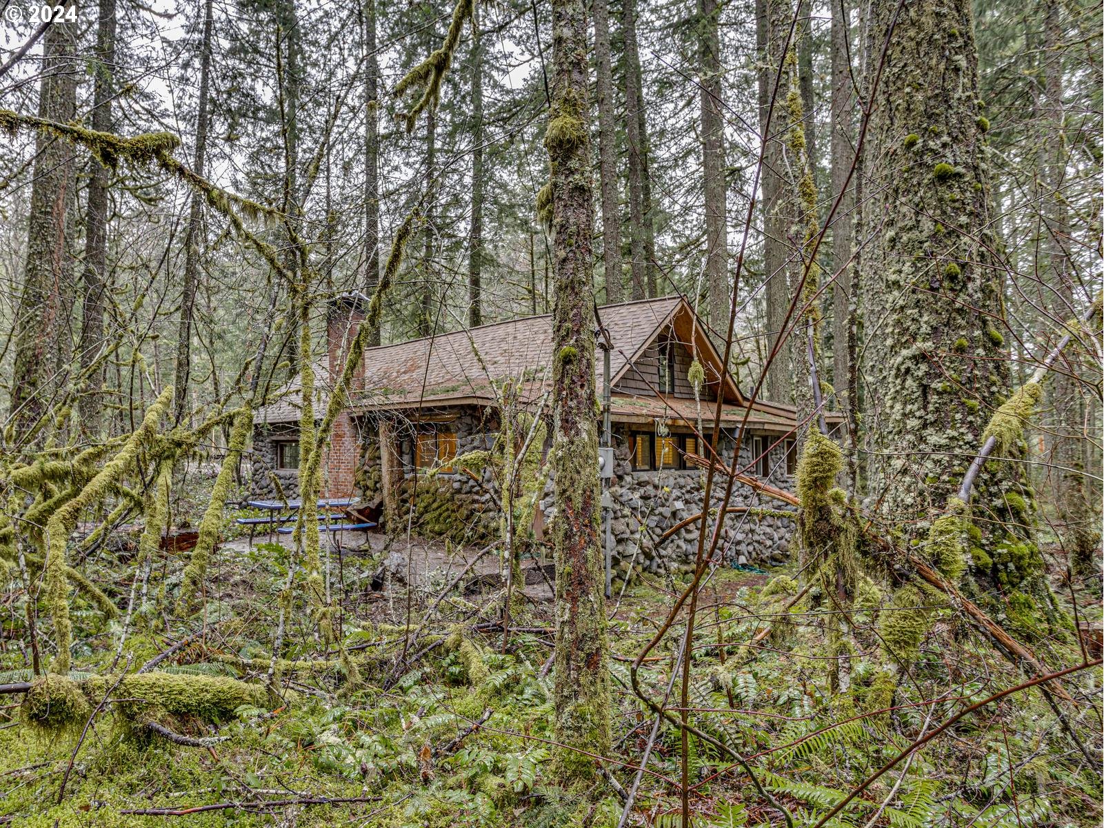 75402 E ZIG ZAG MOUNTAIN RD