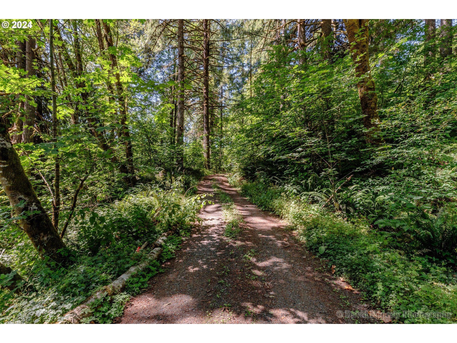 27436 Monster Mountain DR