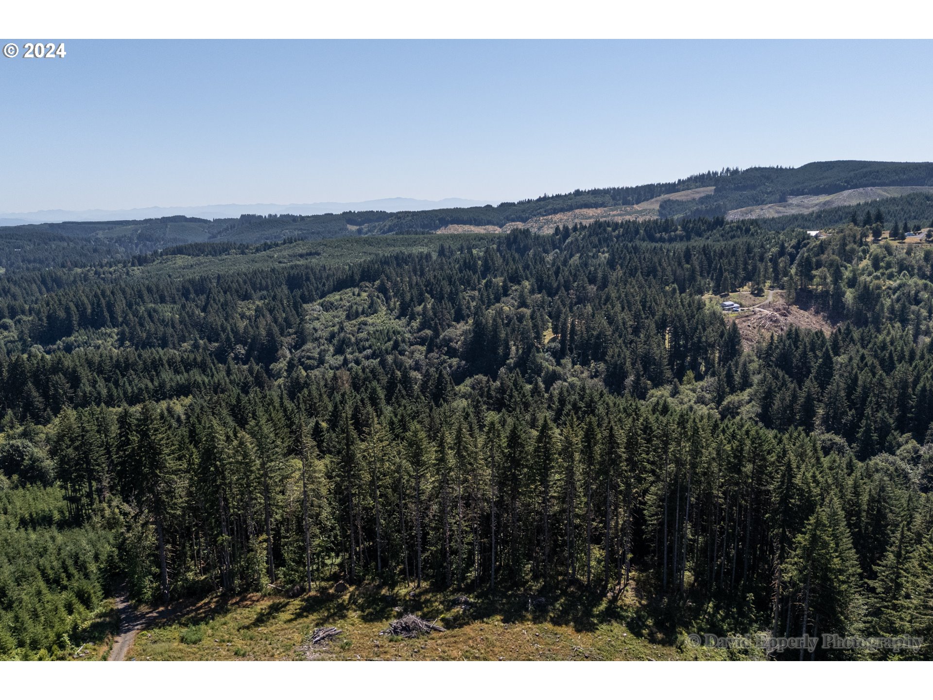 27436 Monster Mountain DR