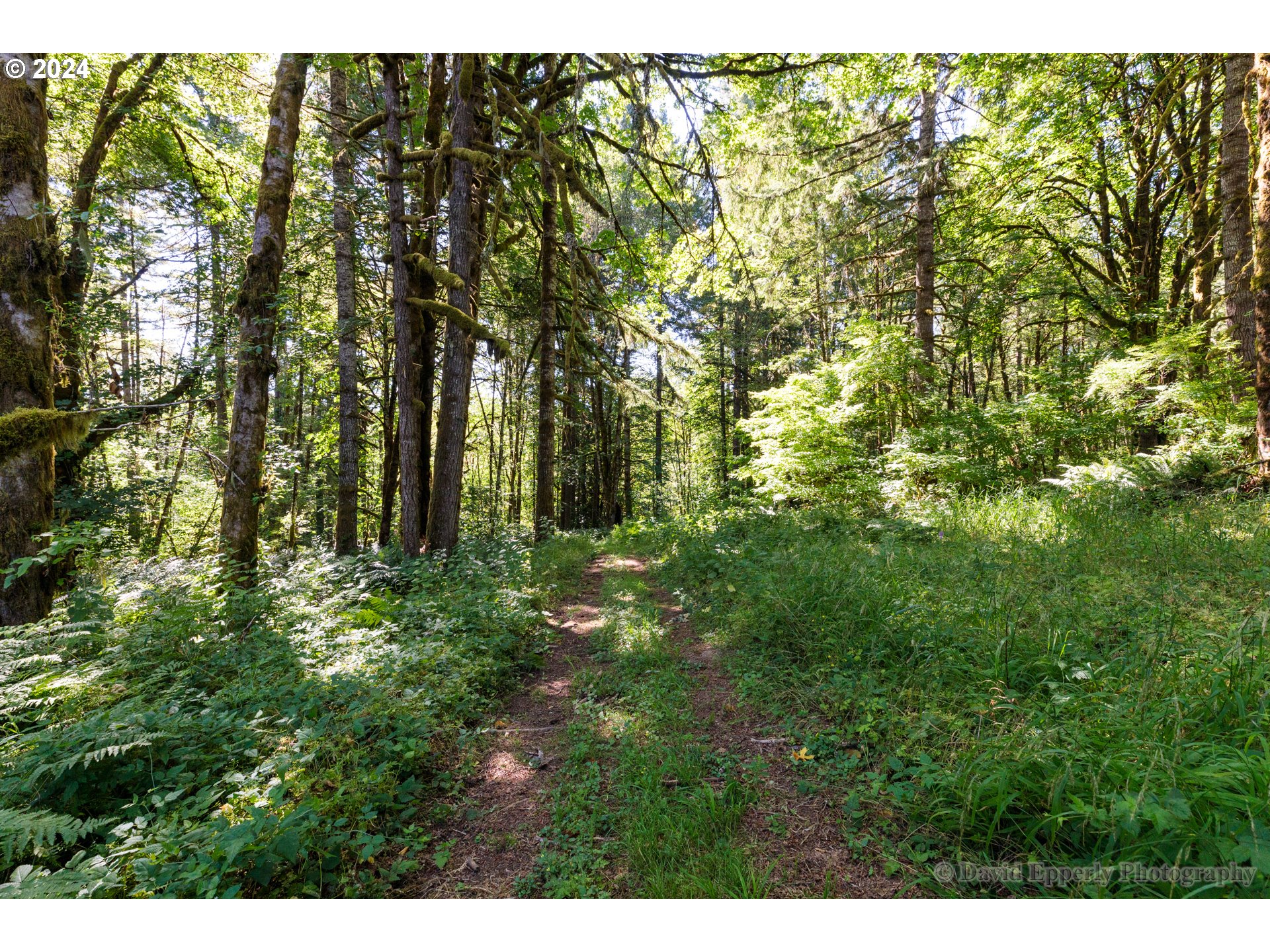 27436 Monster Mountain DR