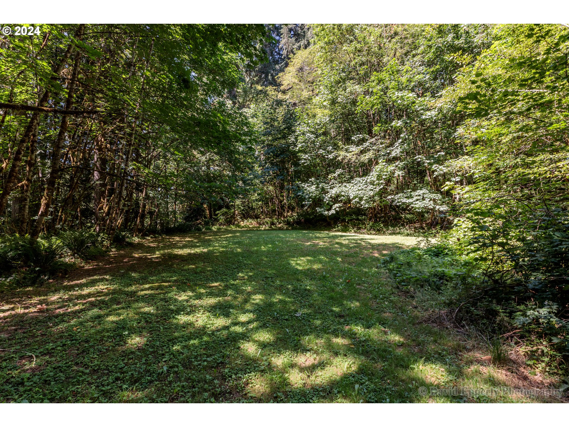 27436 Monster Mountain DR