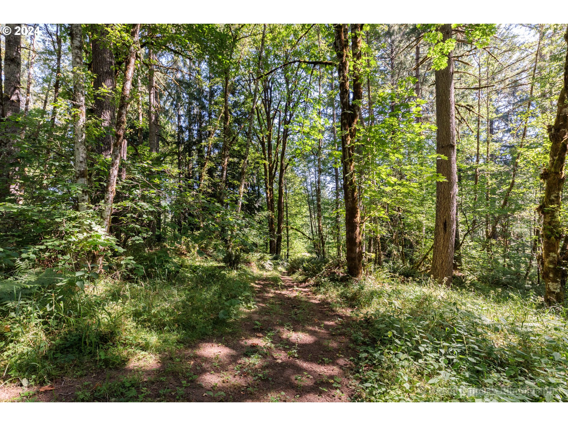 27436 Monster Mountain DR