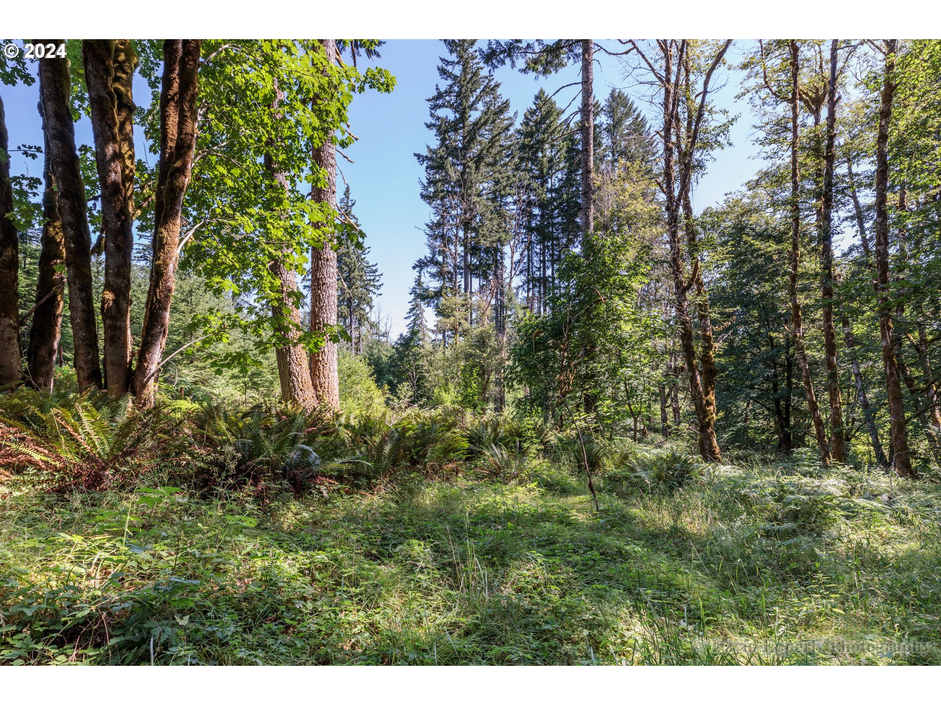 27436 Monster Mountain DR