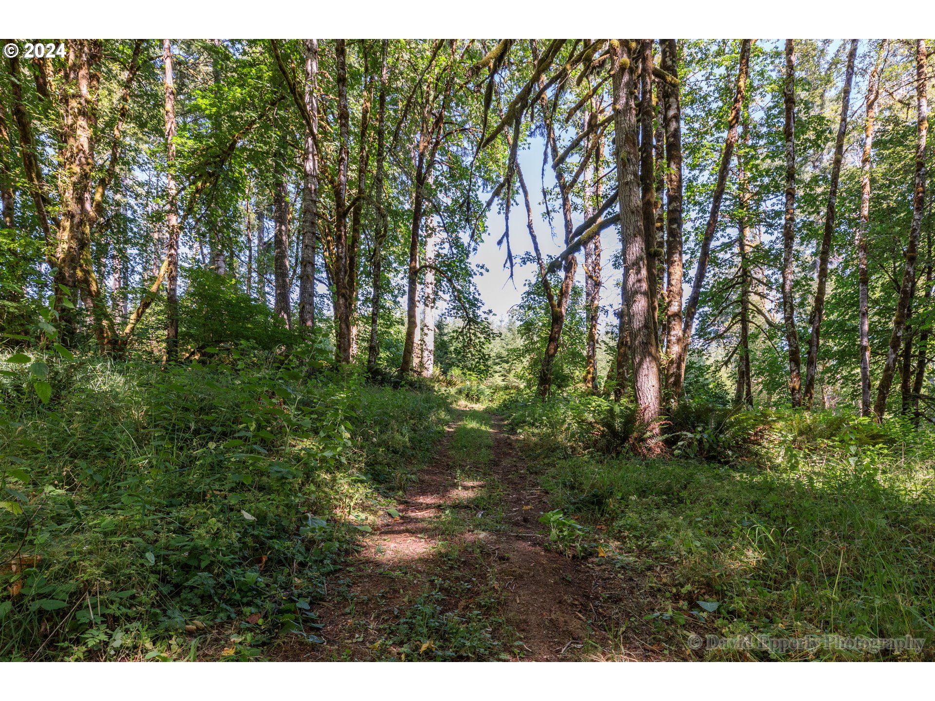 27436 Monster Mountain DR