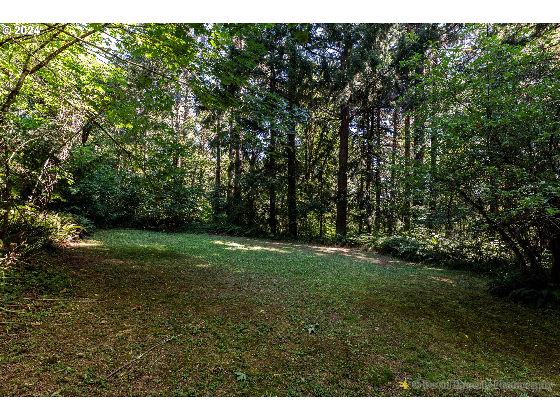 27436 Monster Mountain DR