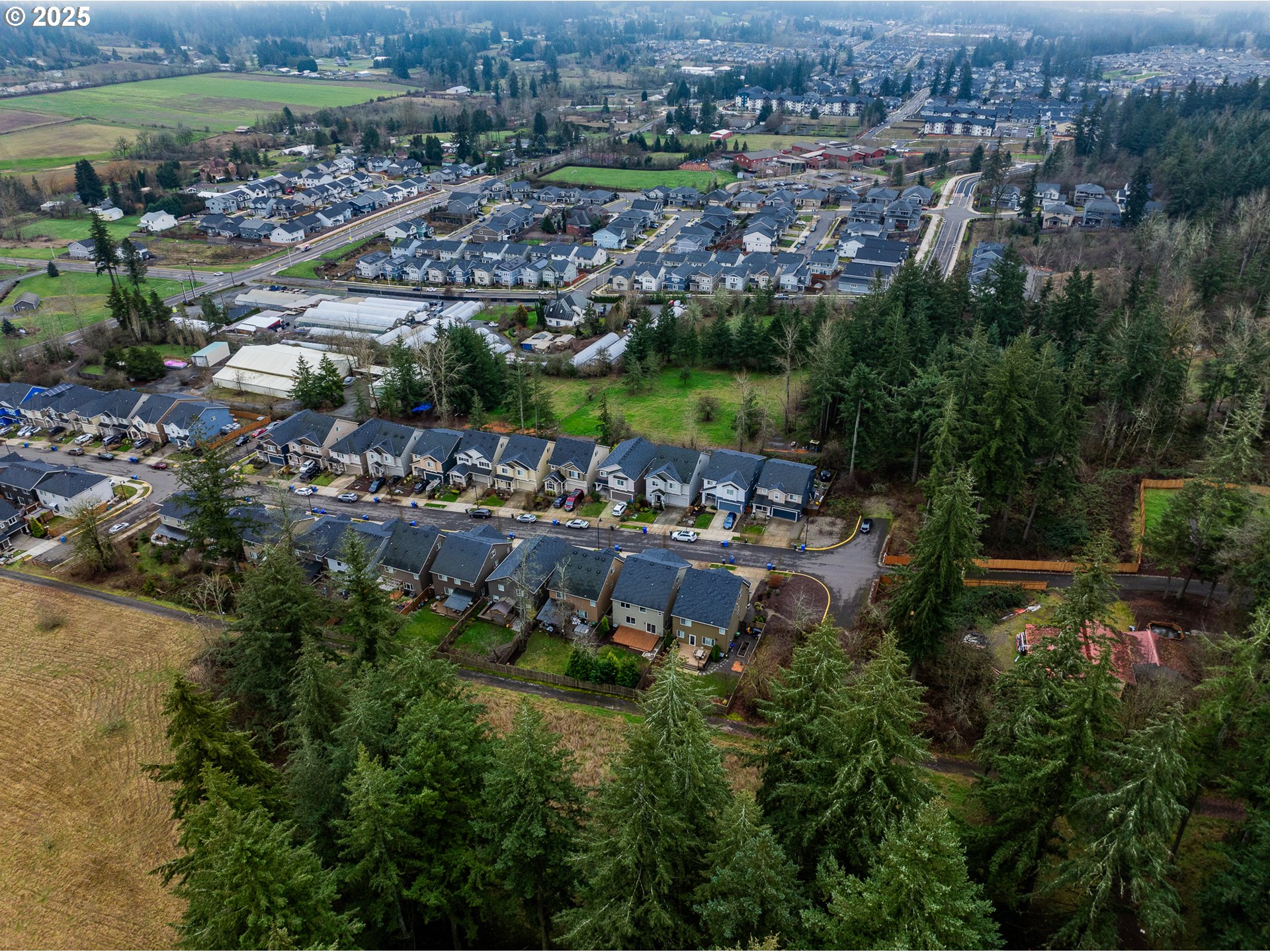 16959 SE RHODODENDRON ST