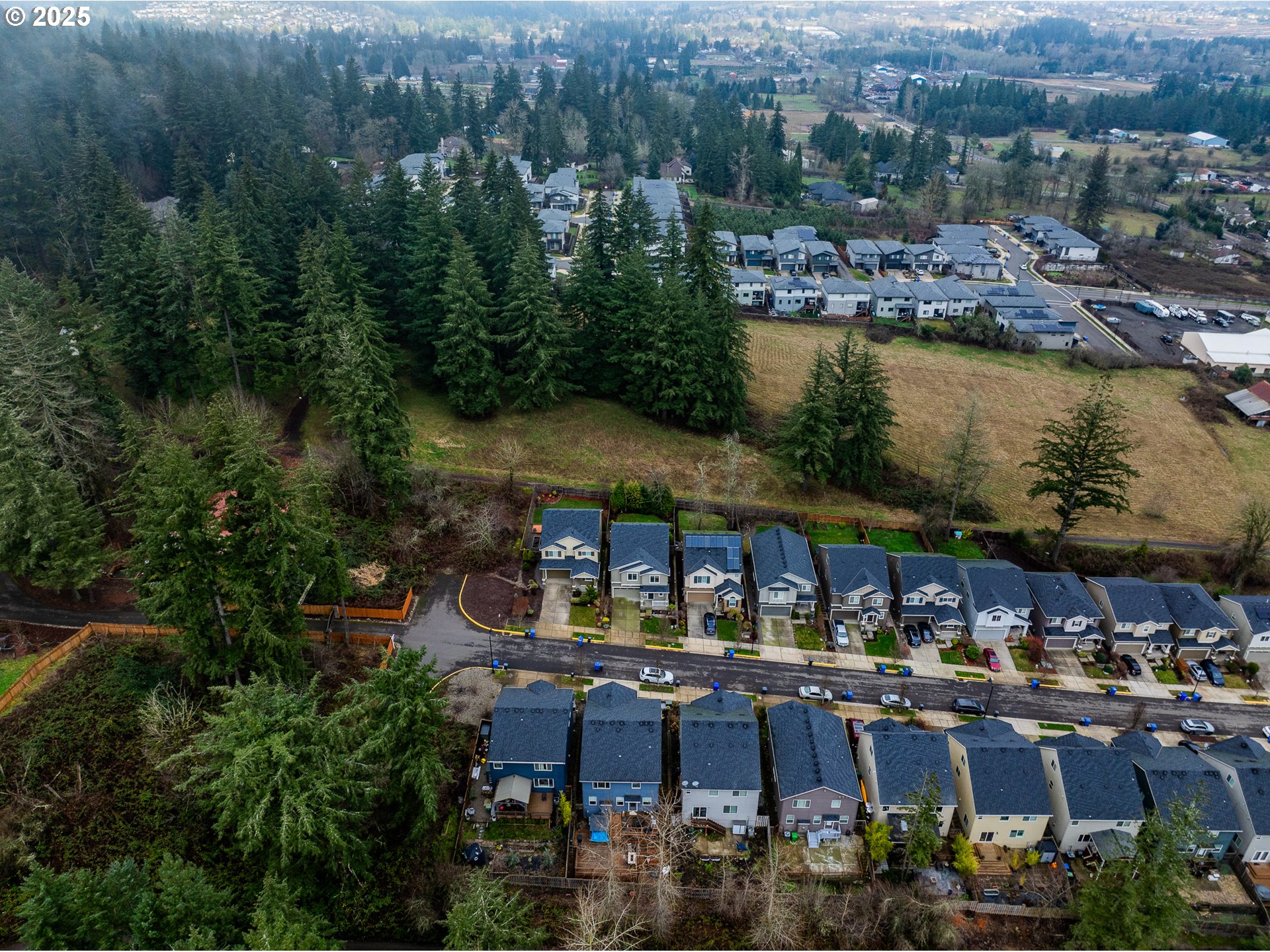 16959 SE RHODODENDRON ST