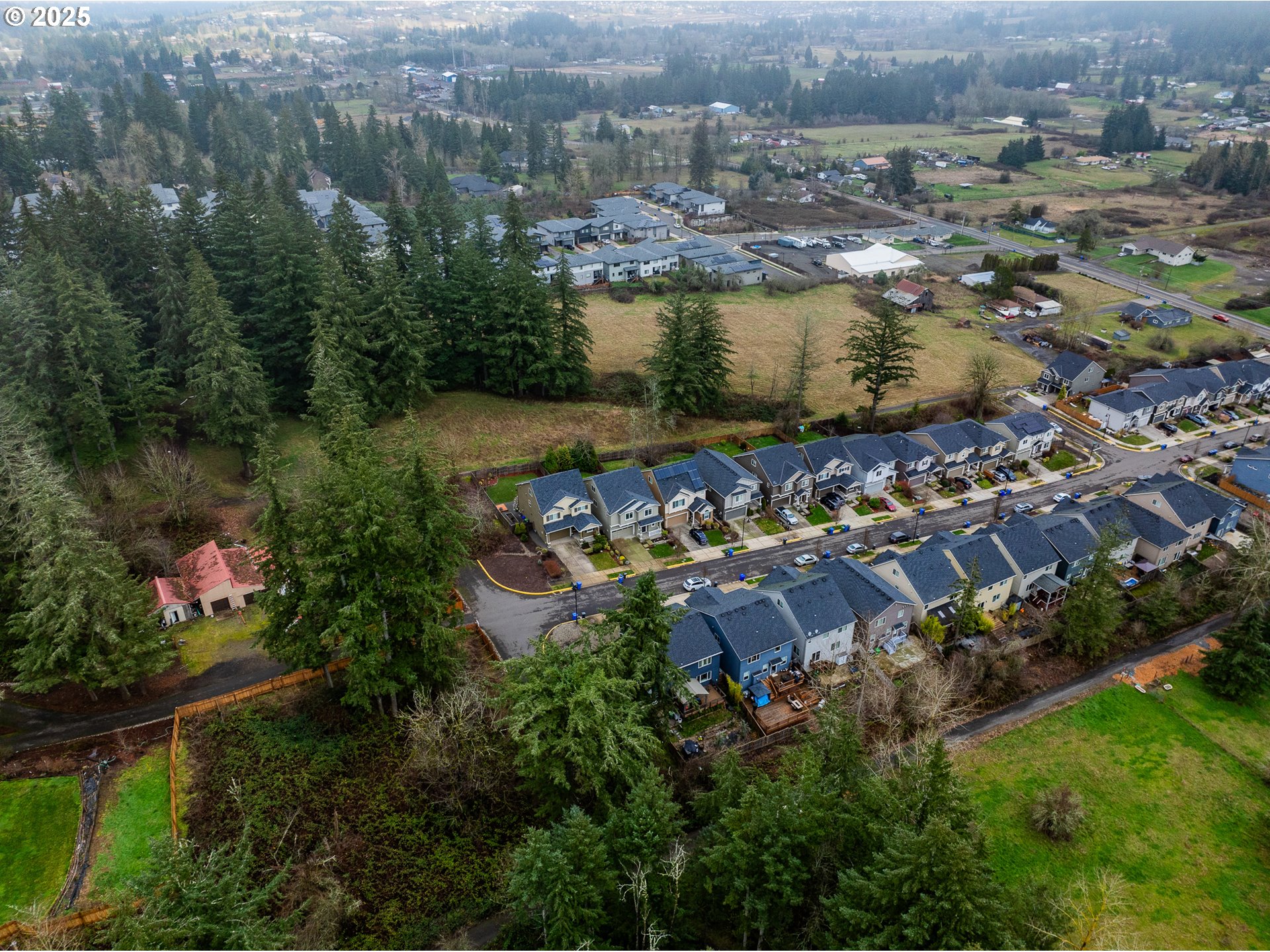 16959 SE RHODODENDRON ST