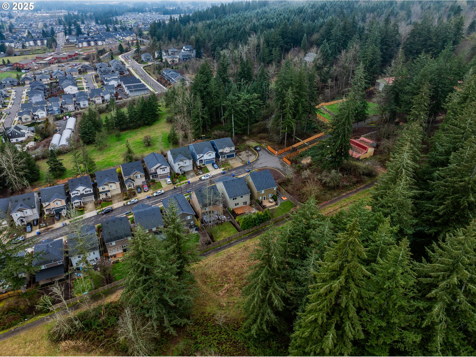 16959 SE RHODODENDRON ST