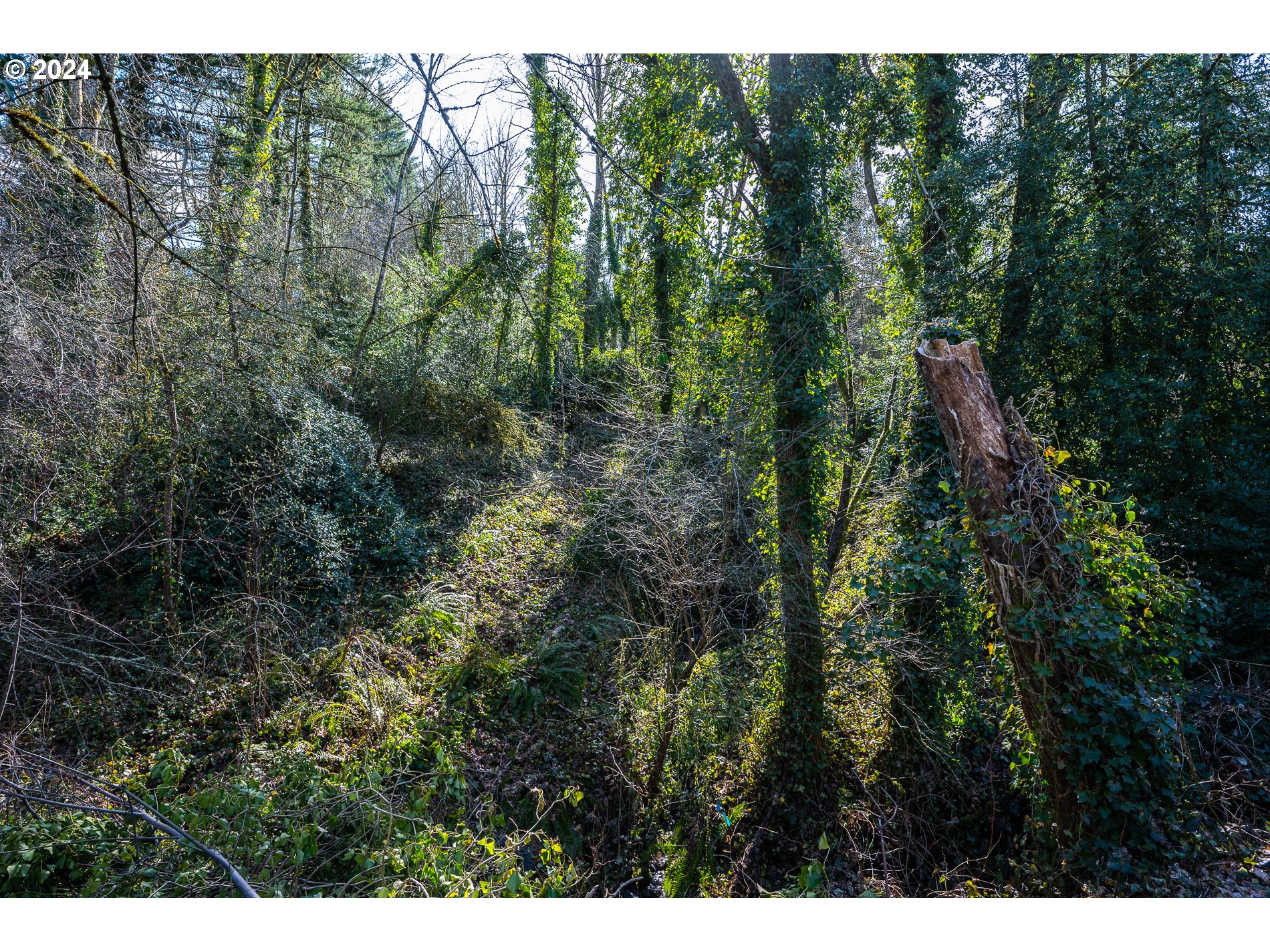 11830 SE Flavel ST E