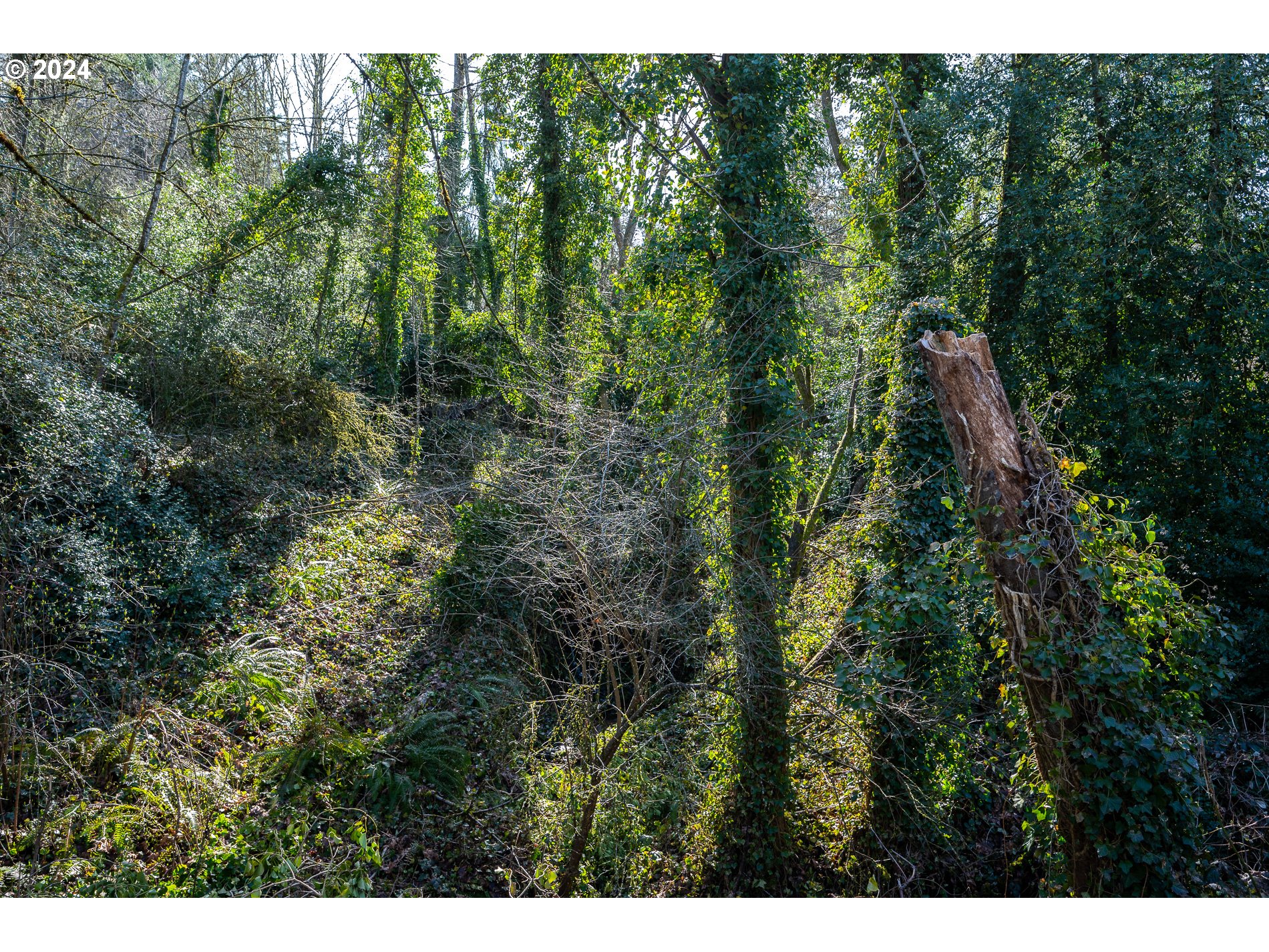 11830 SE Flavel ST E