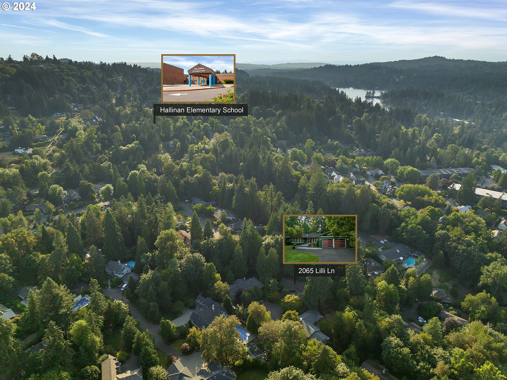 2065 LILLI LN