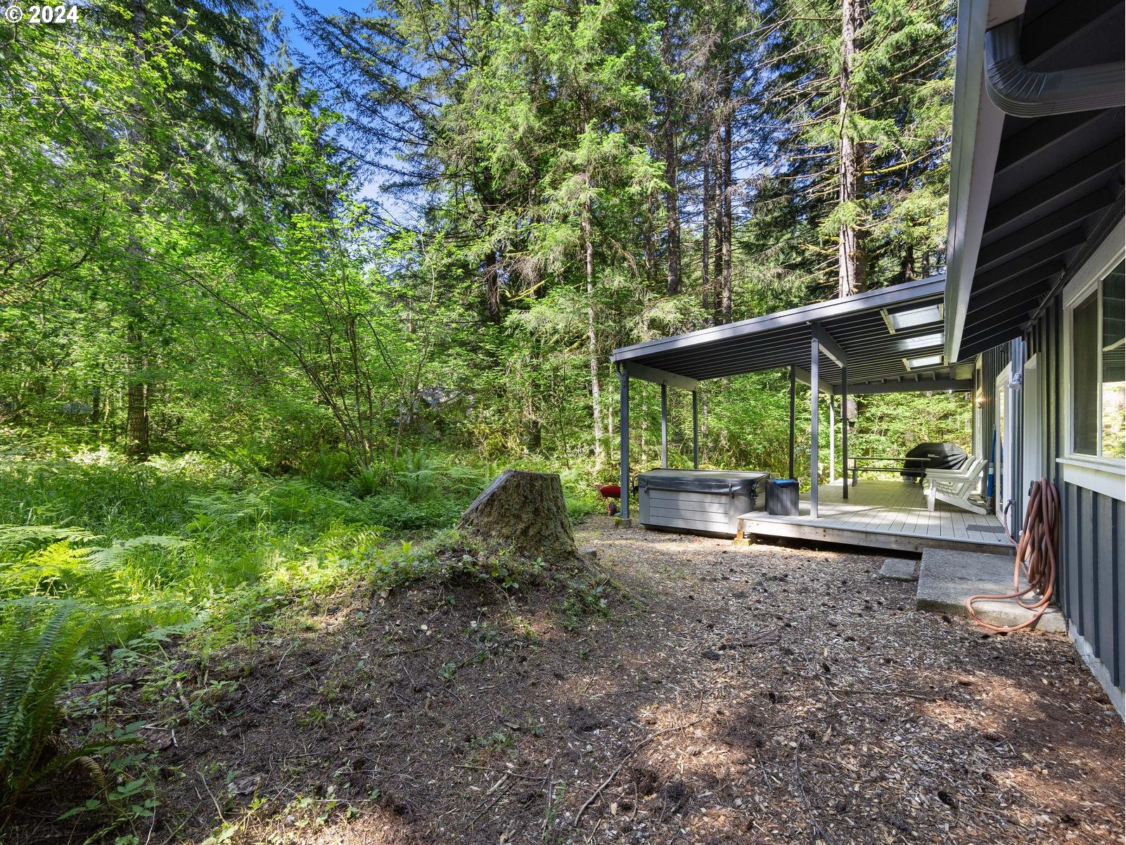 68690 E HUNCHBACK CT