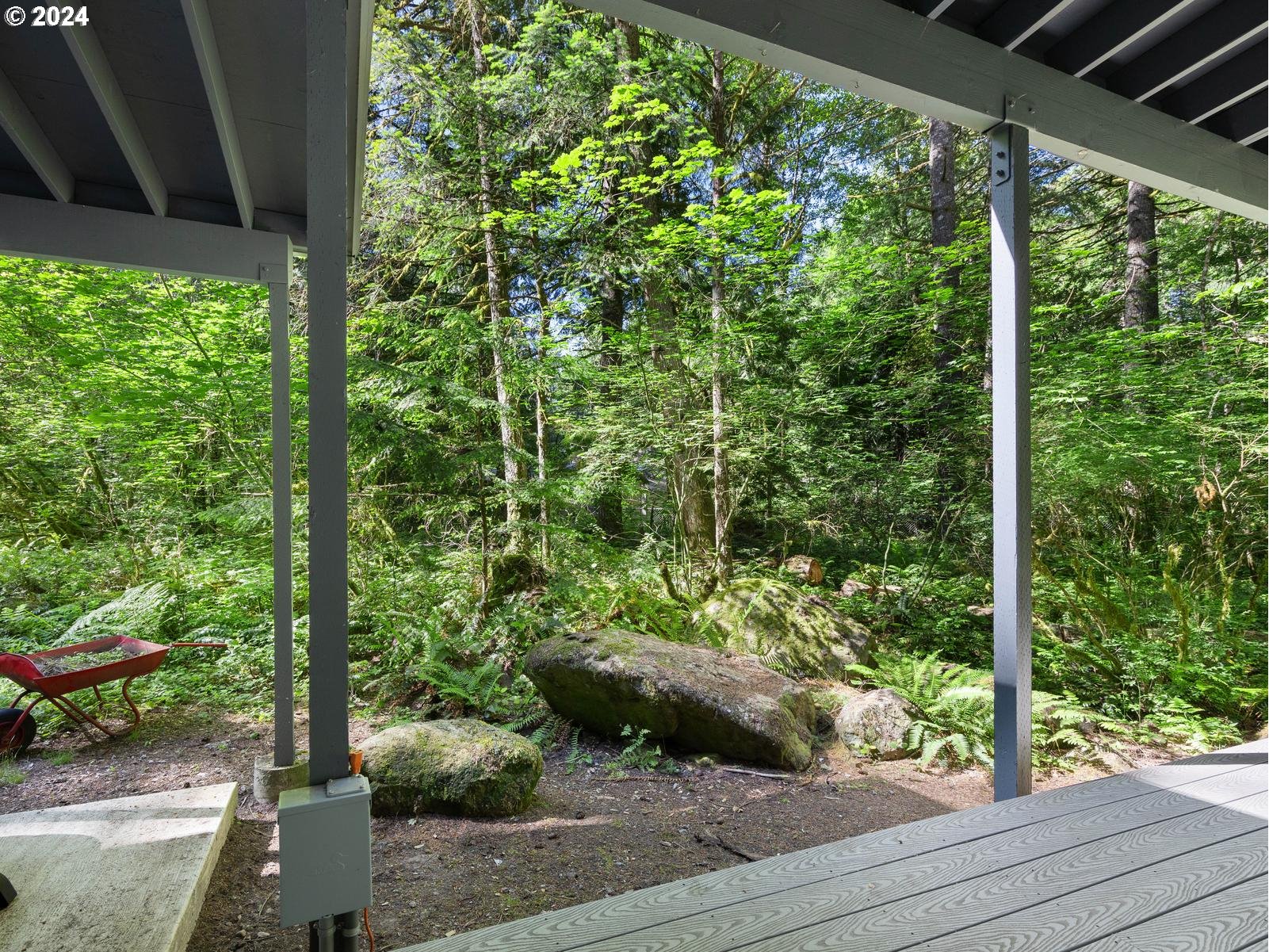 68690 E HUNCHBACK CT