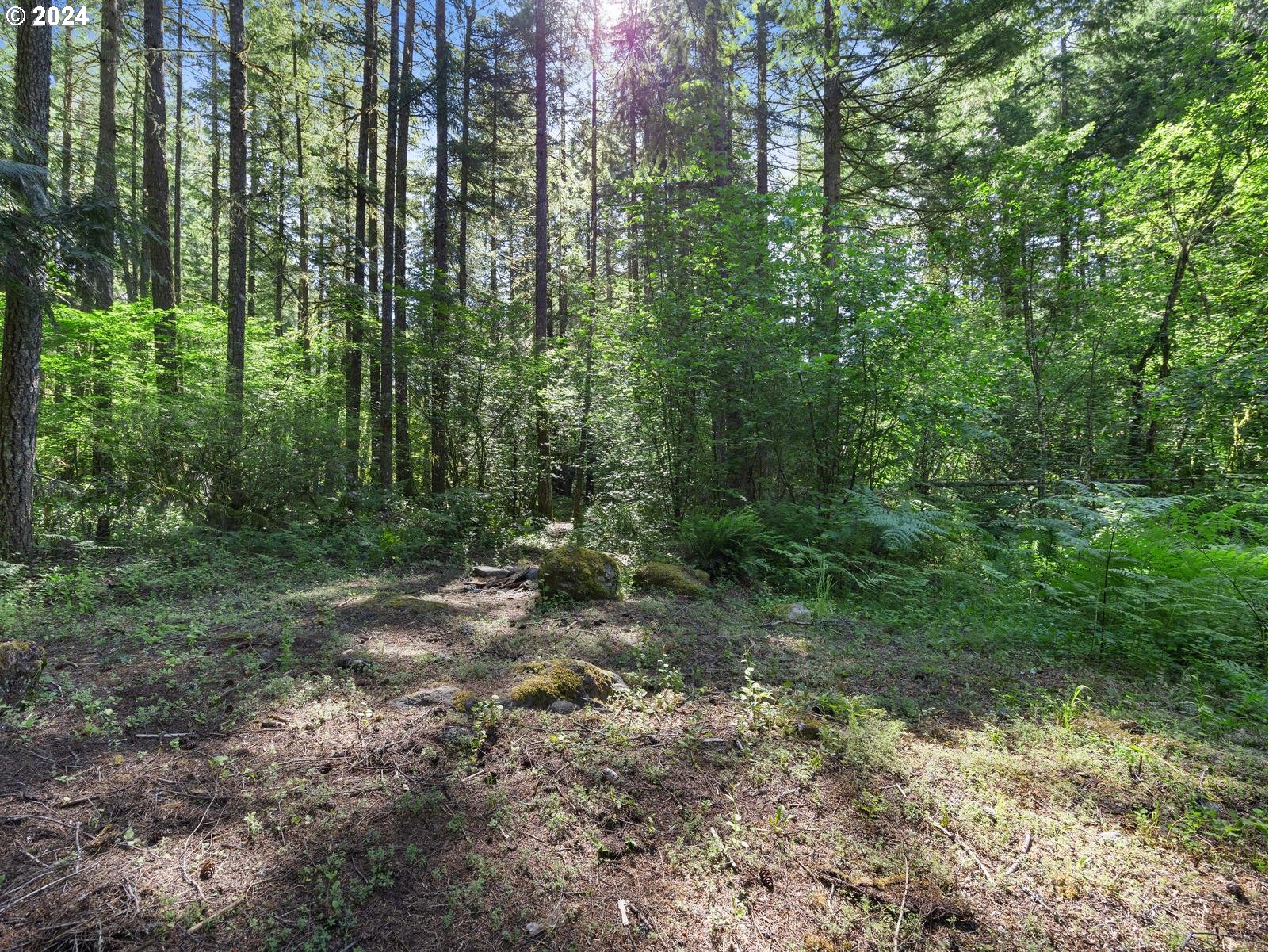 68690 E HUNCHBACK CT