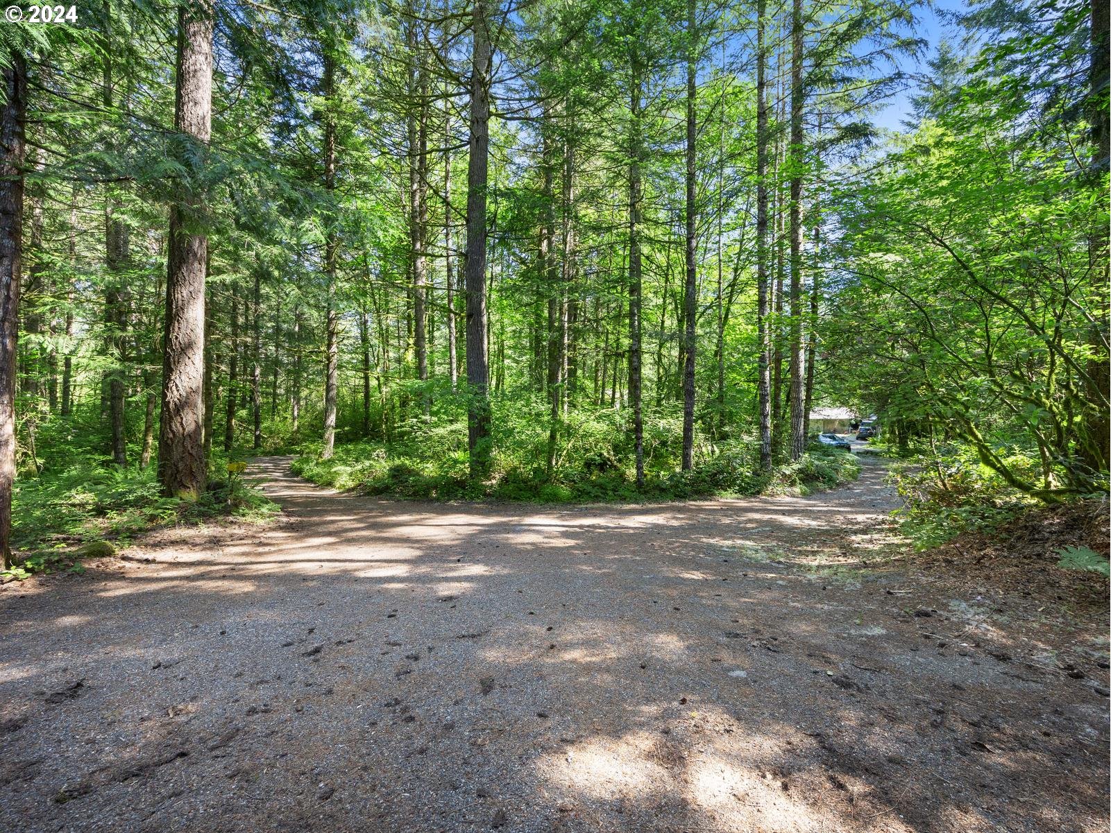 68690 E HUNCHBACK CT