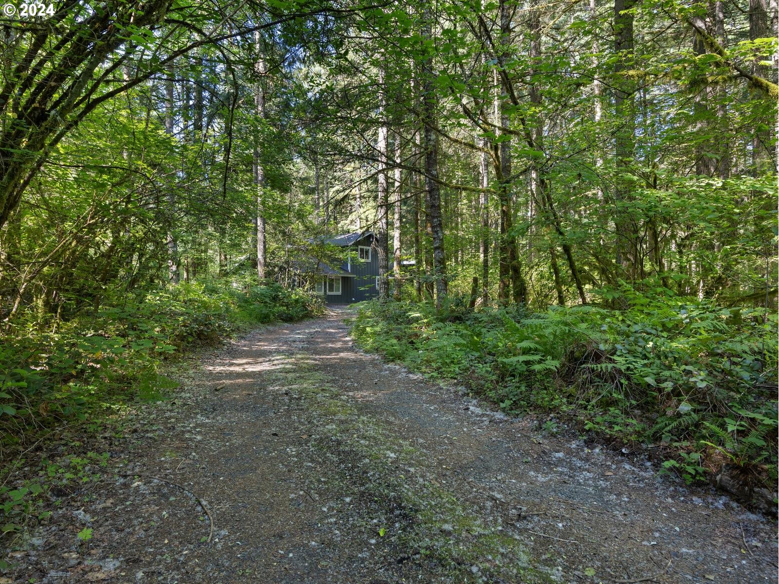 68690 E HUNCHBACK CT