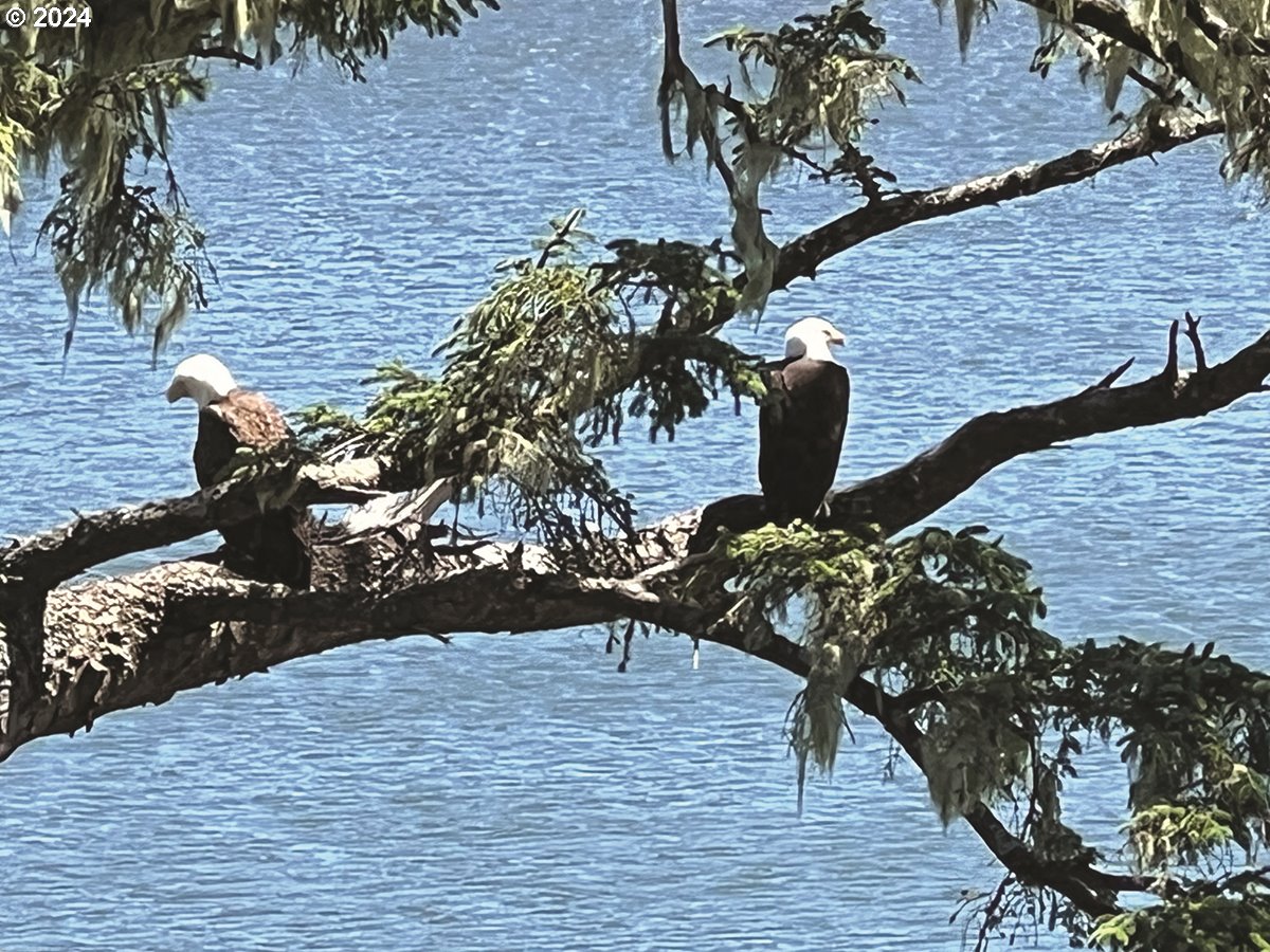 1204 NE Harbor Ridge