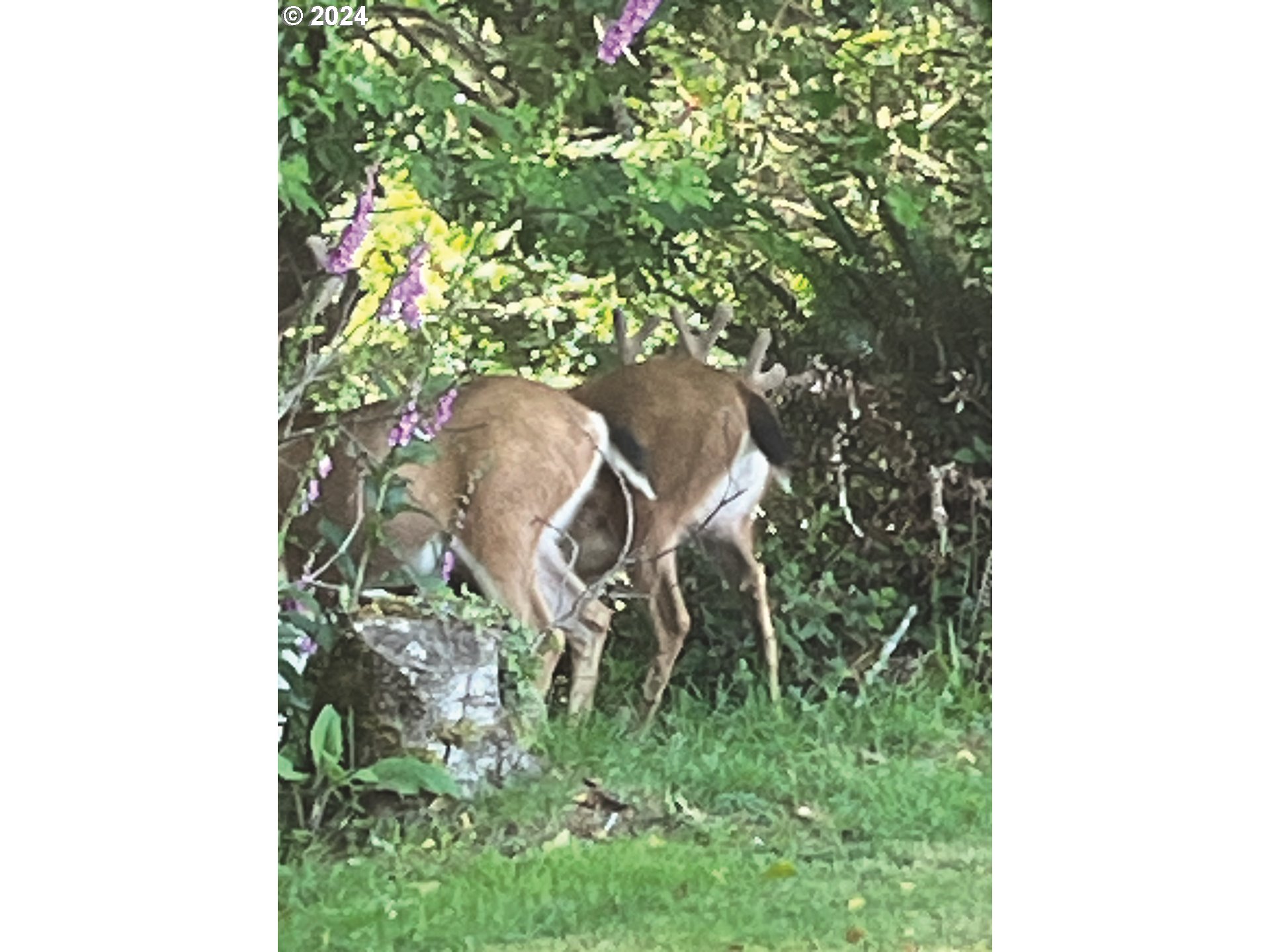 1204 NE Harbor Ridge