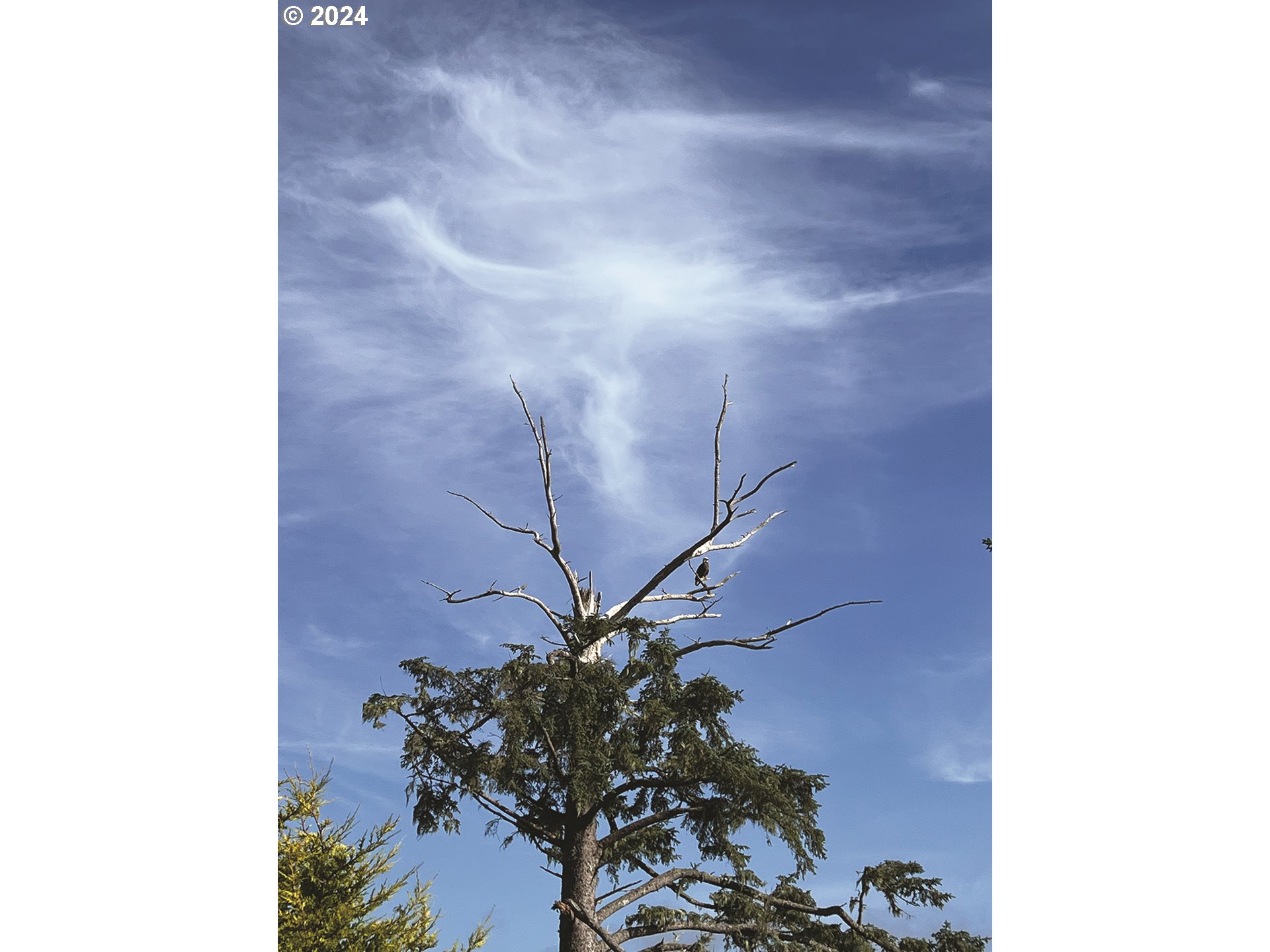 1204 NE Harbor Ridge