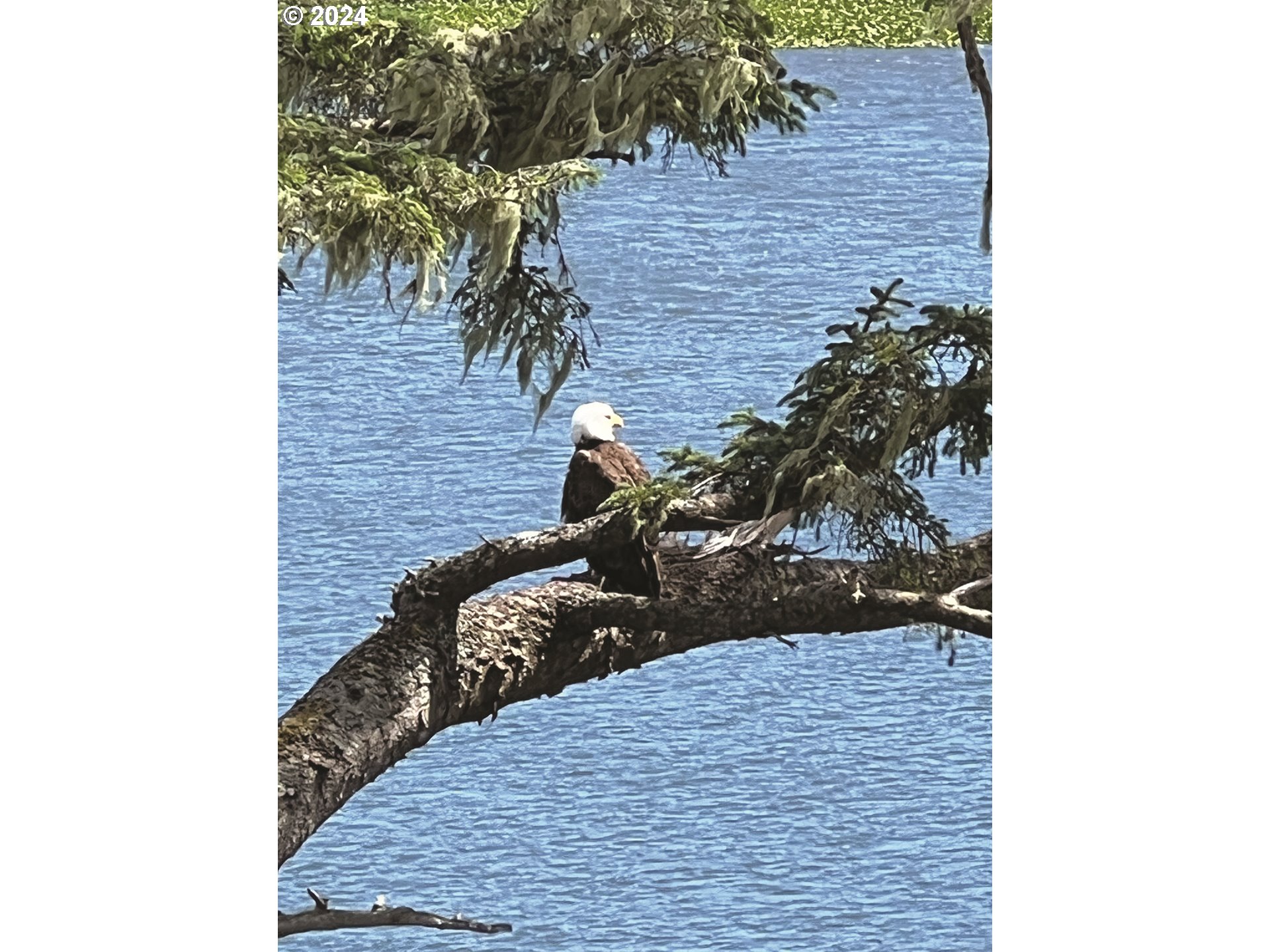 1204 NE Harbor Ridge