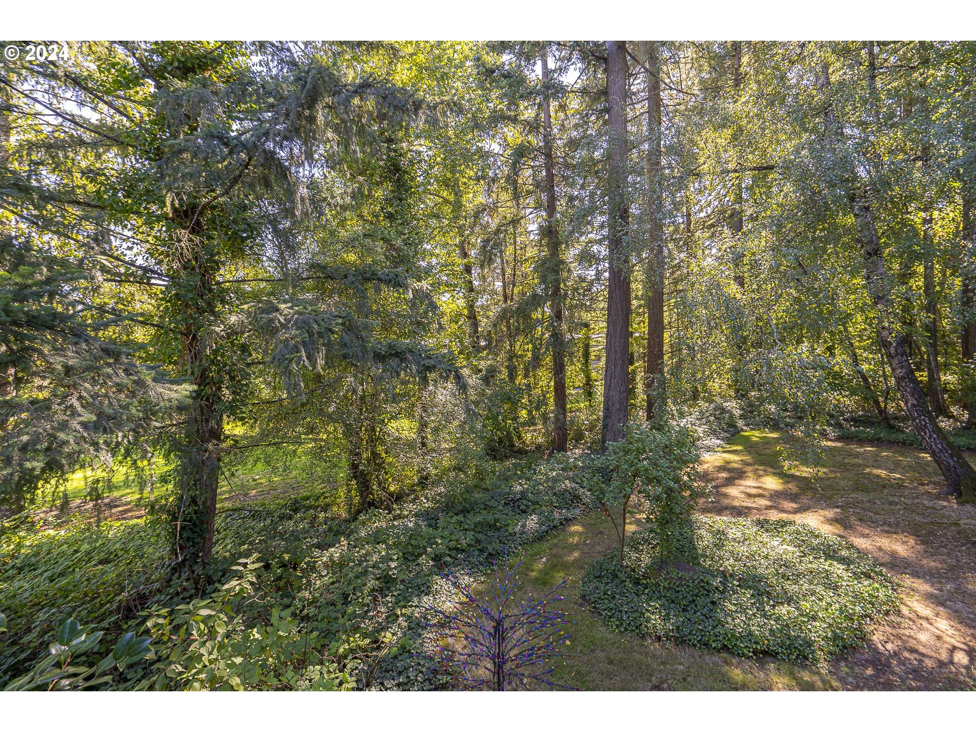 4000 CARMAN DR D57