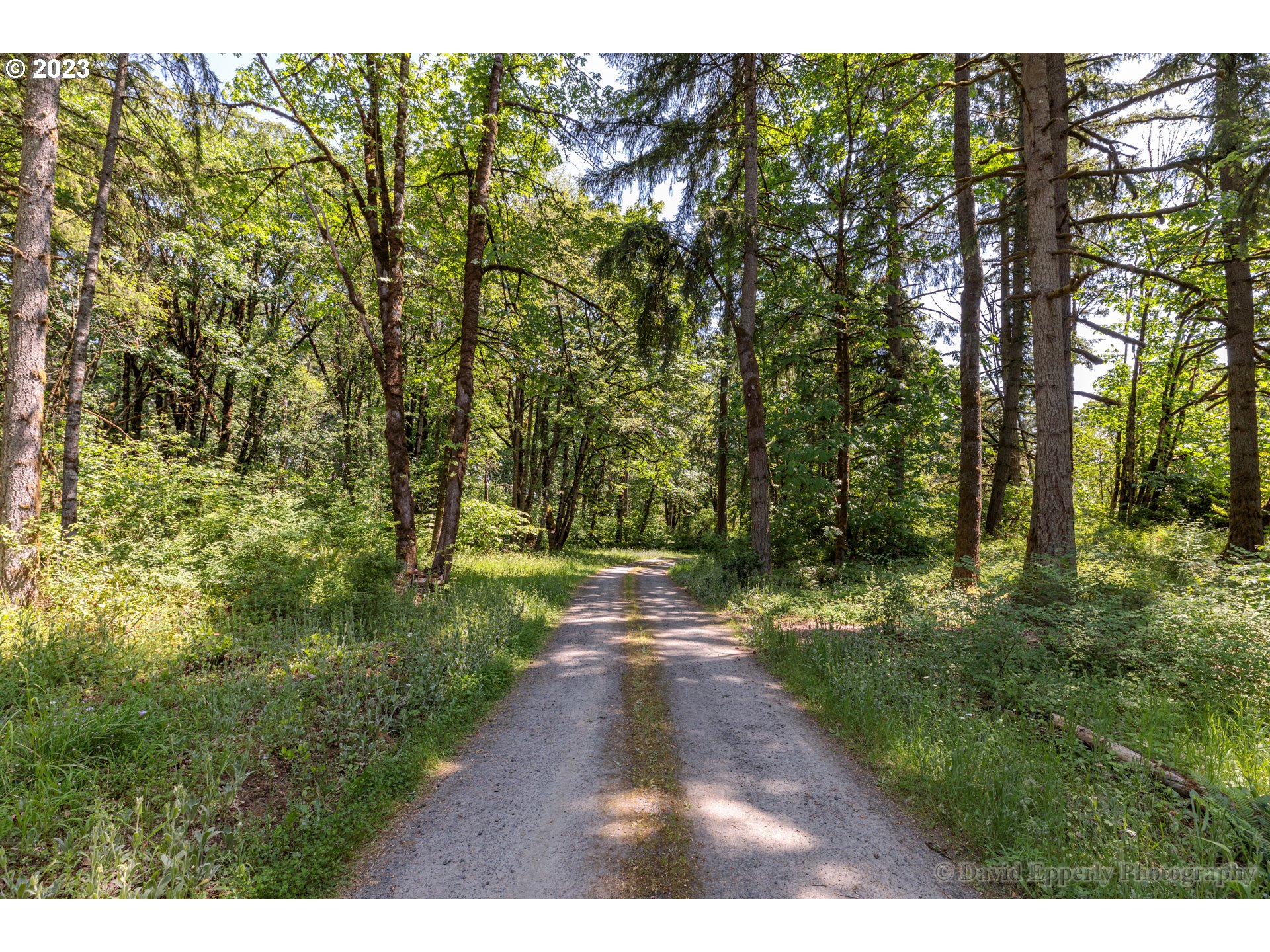 70543 FOREST PARK RD