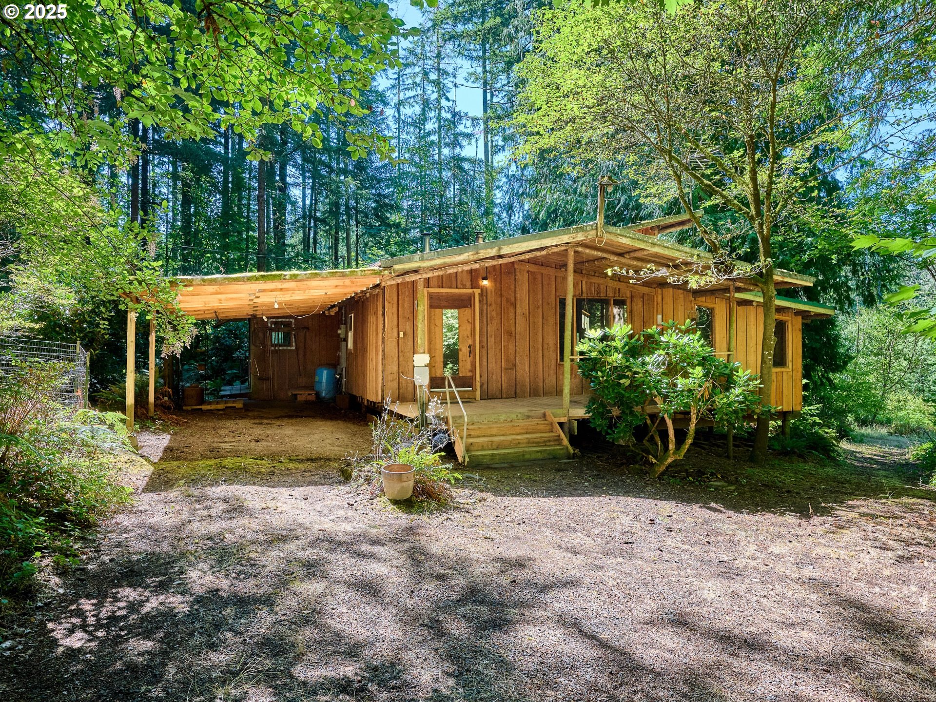 Wood-sided cabin in a forest clearing with a covered carport and raised front porch.