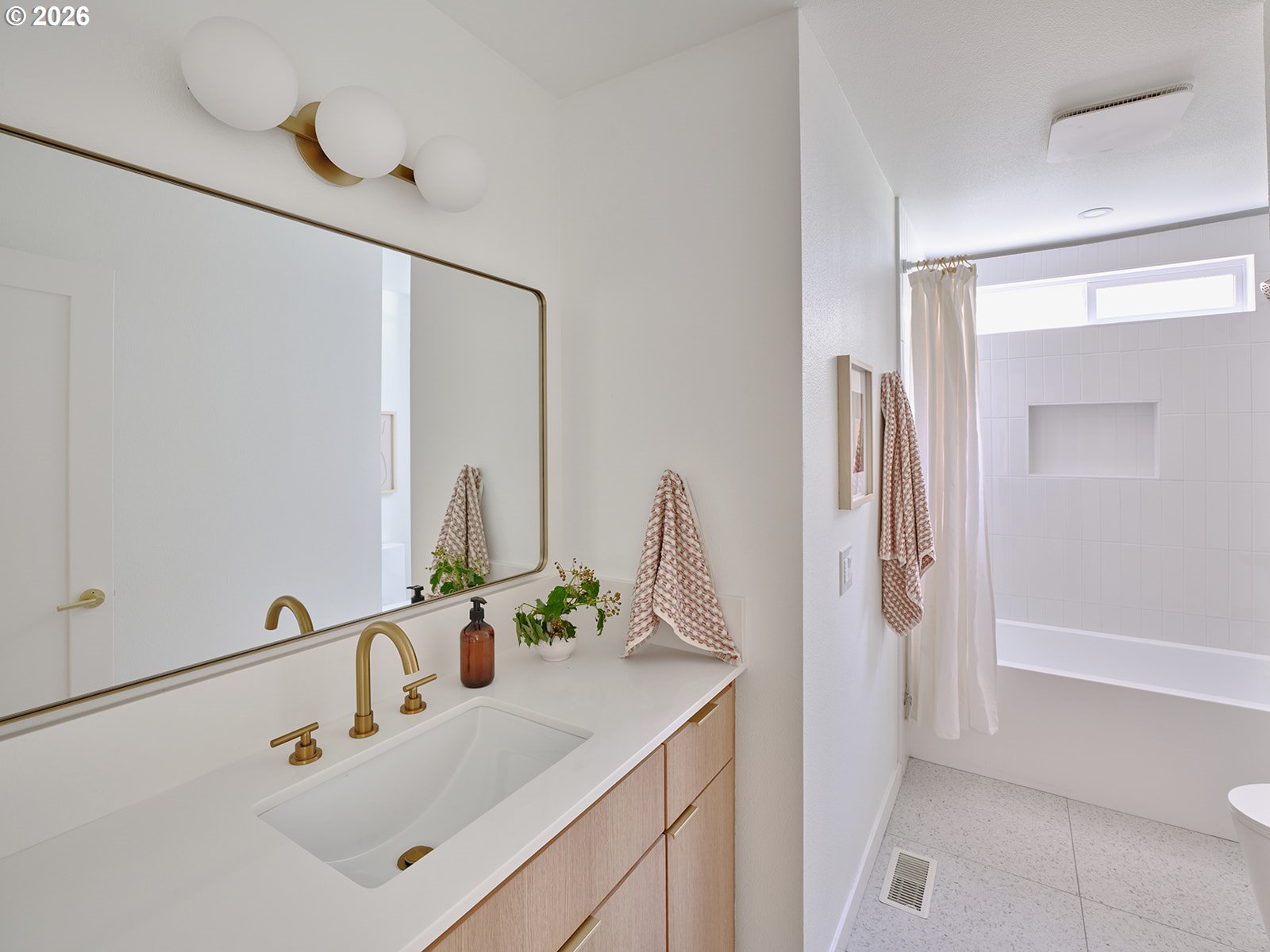 50 SPINOSA