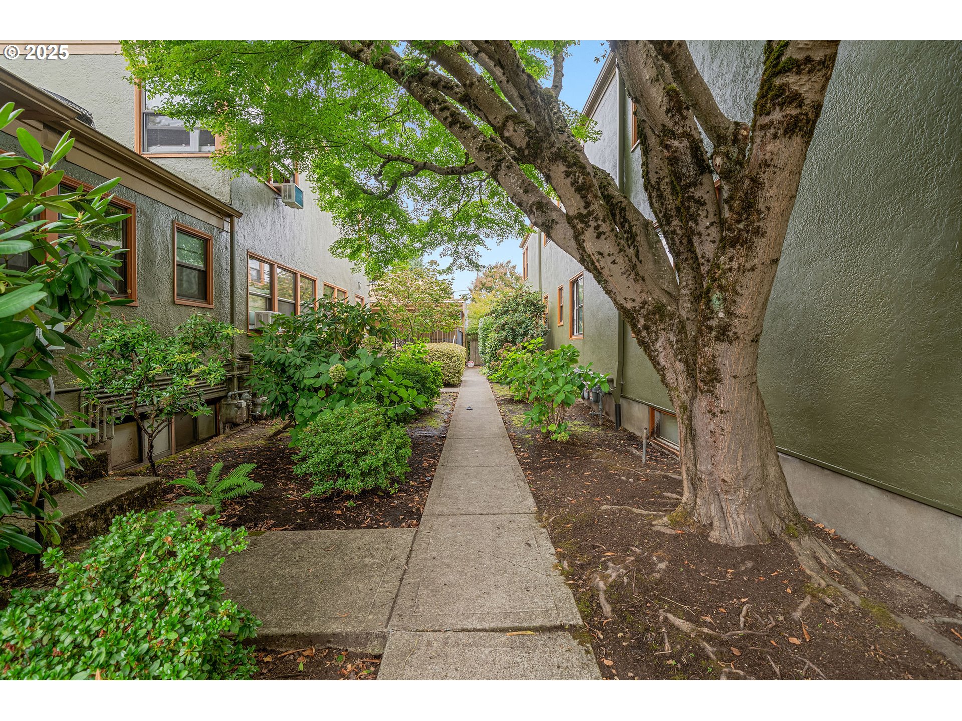 2025 SE CARUTHERS ST 14