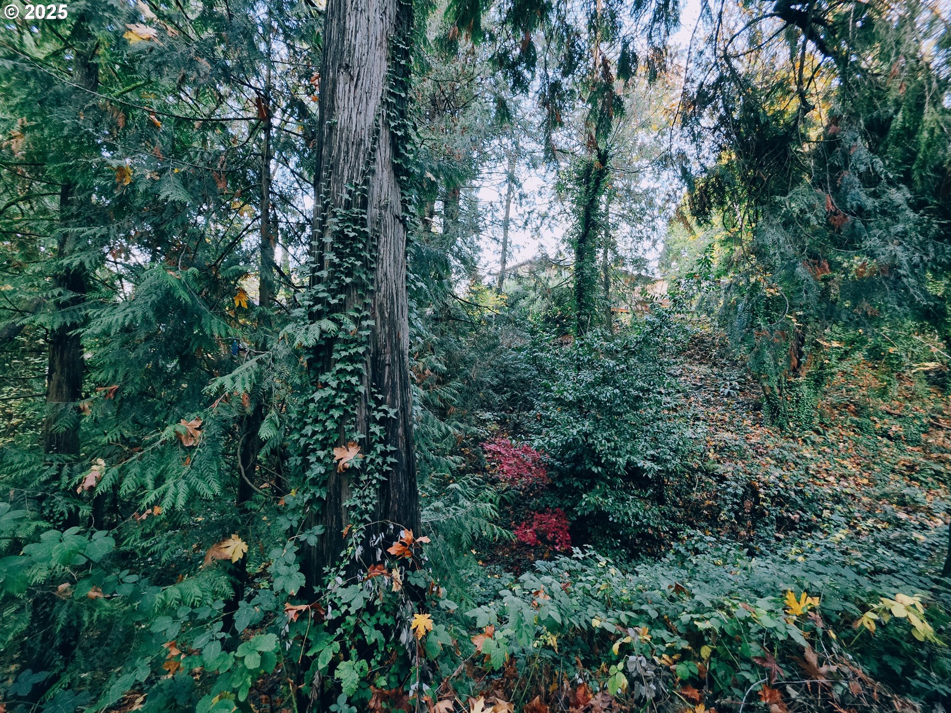 12147 SE HENDERSON DR