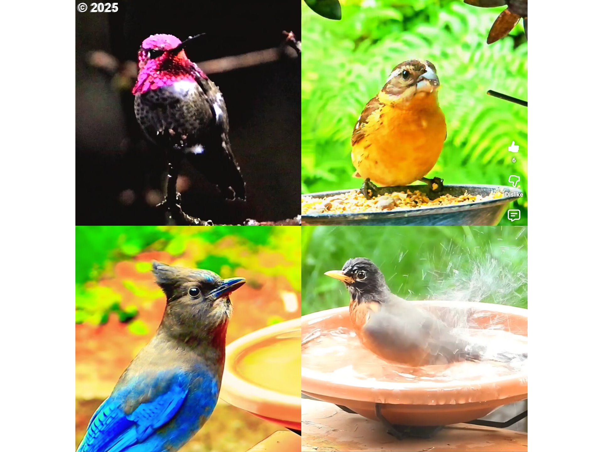 12147 SE HENDERSON DR