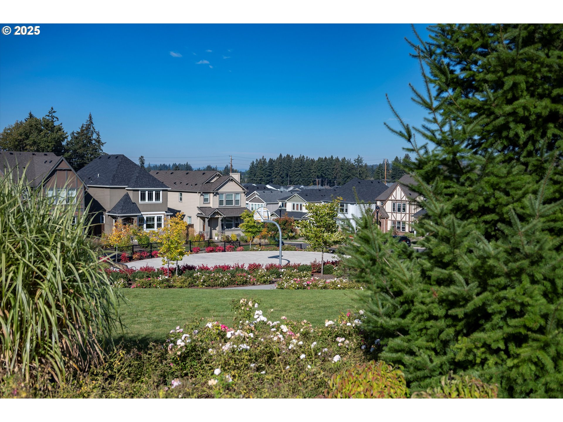 16815 SW TOWNSVILLE ST