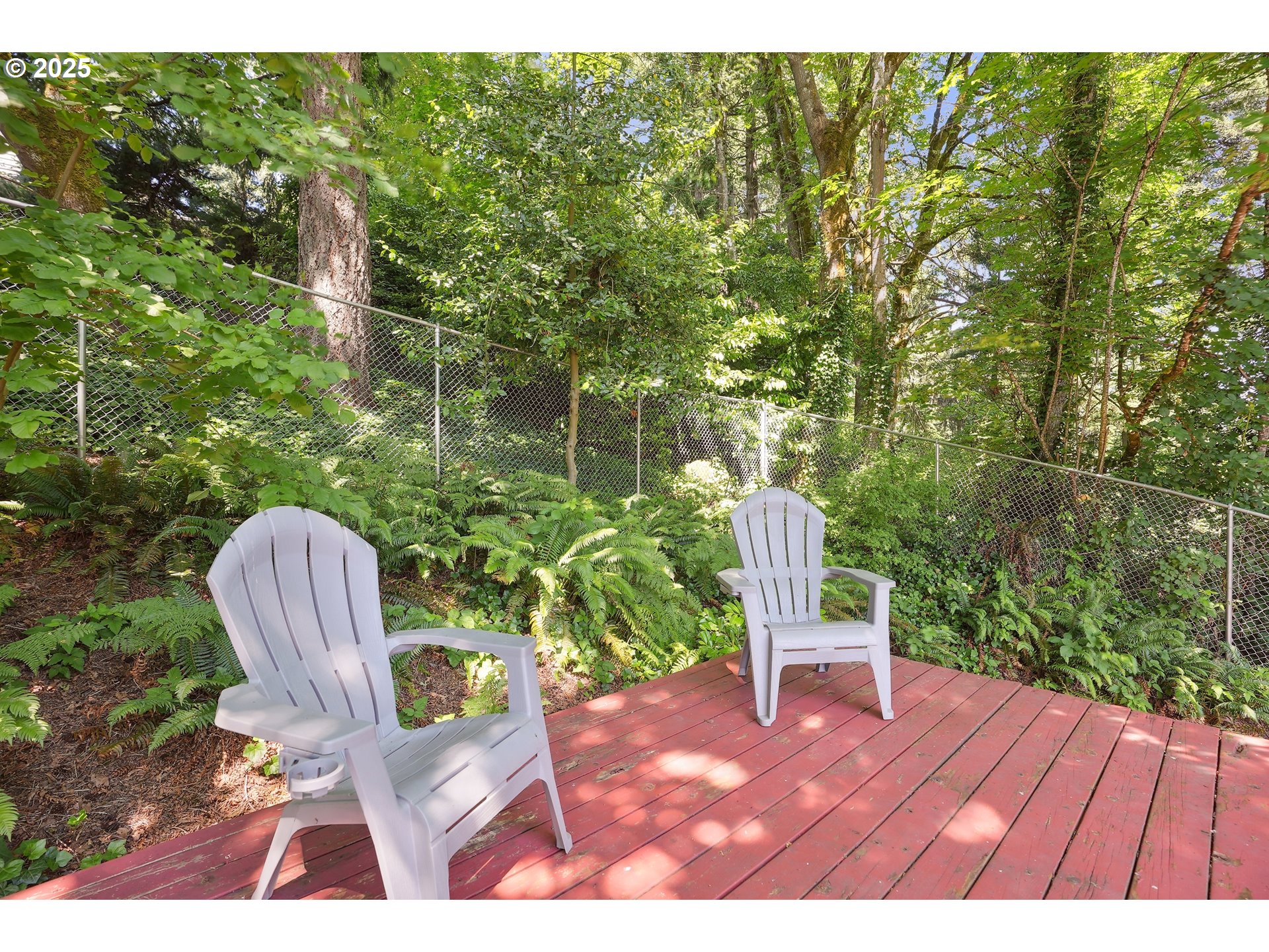 16905 WEBSTER RD