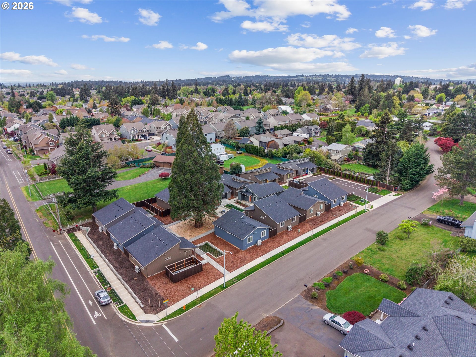 12294 Meadowlawn DR