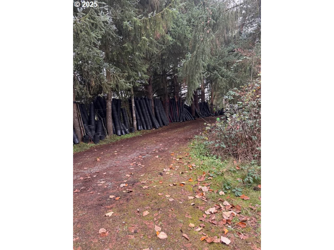 12192 S MULINO RD