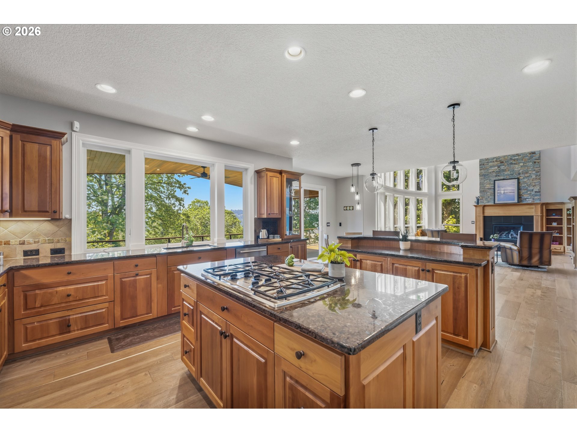 2539 REMINGTON DR
