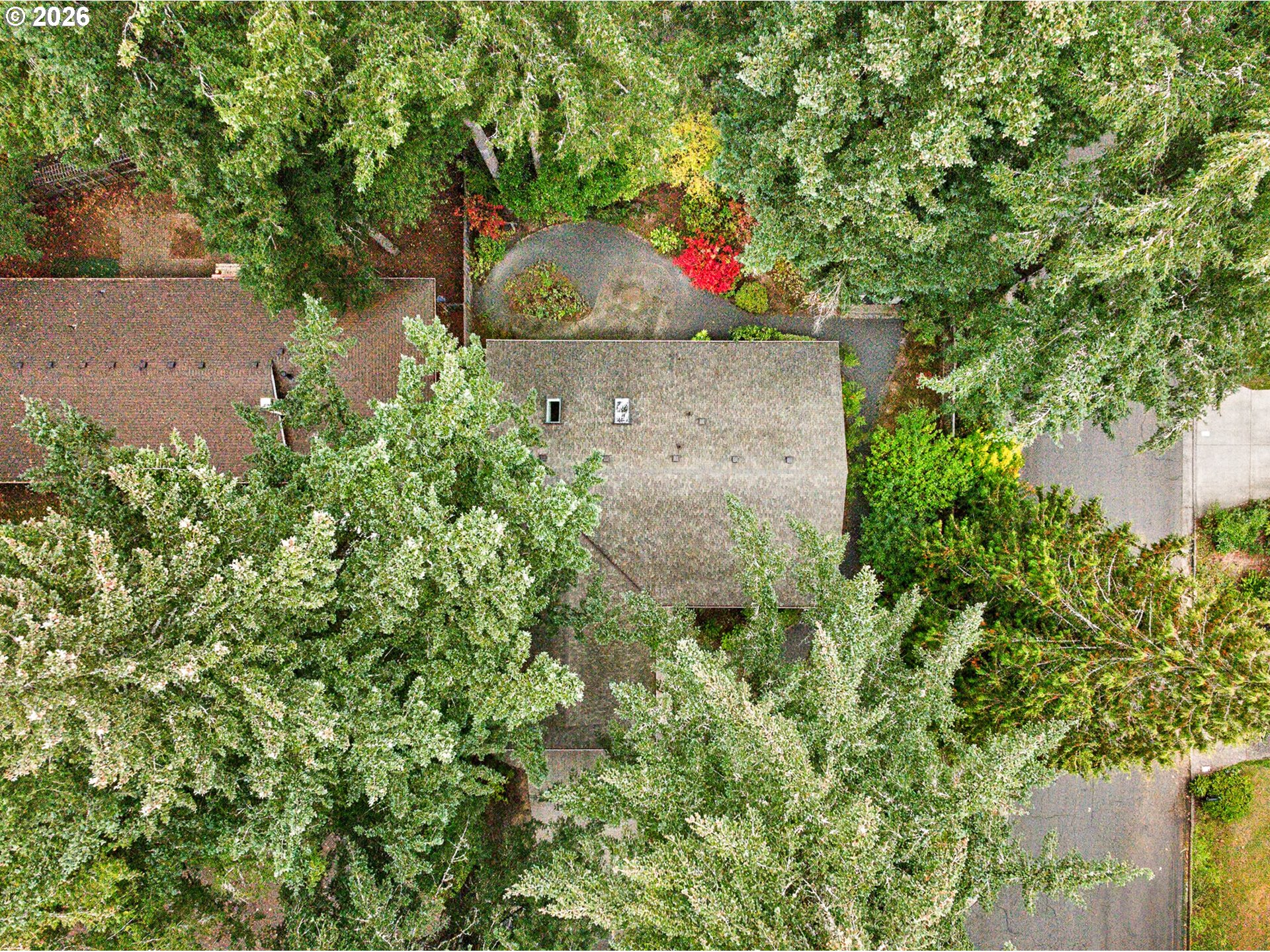 3715 DIVISION CT