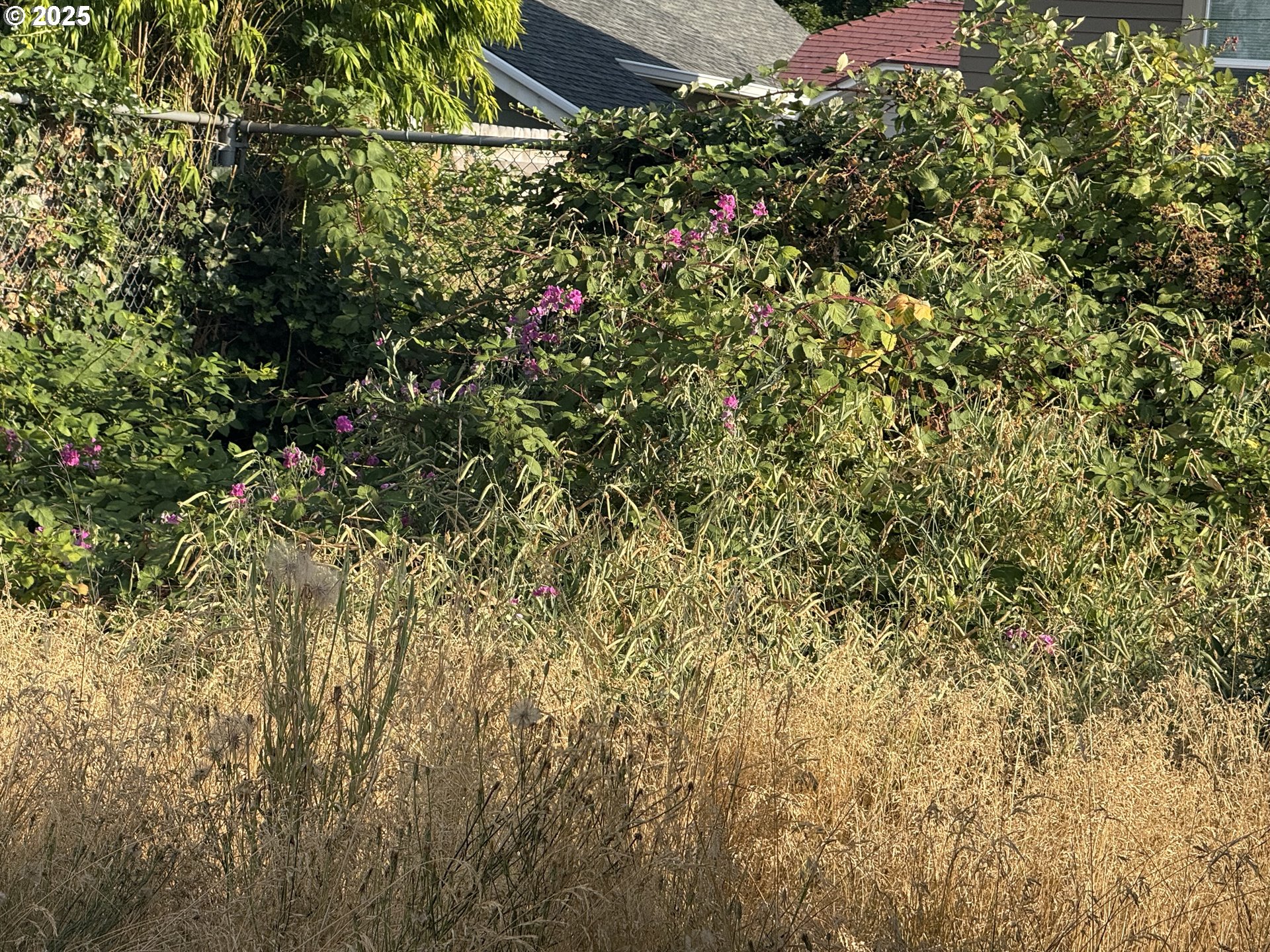 714 N KILLINGSWORTH CT