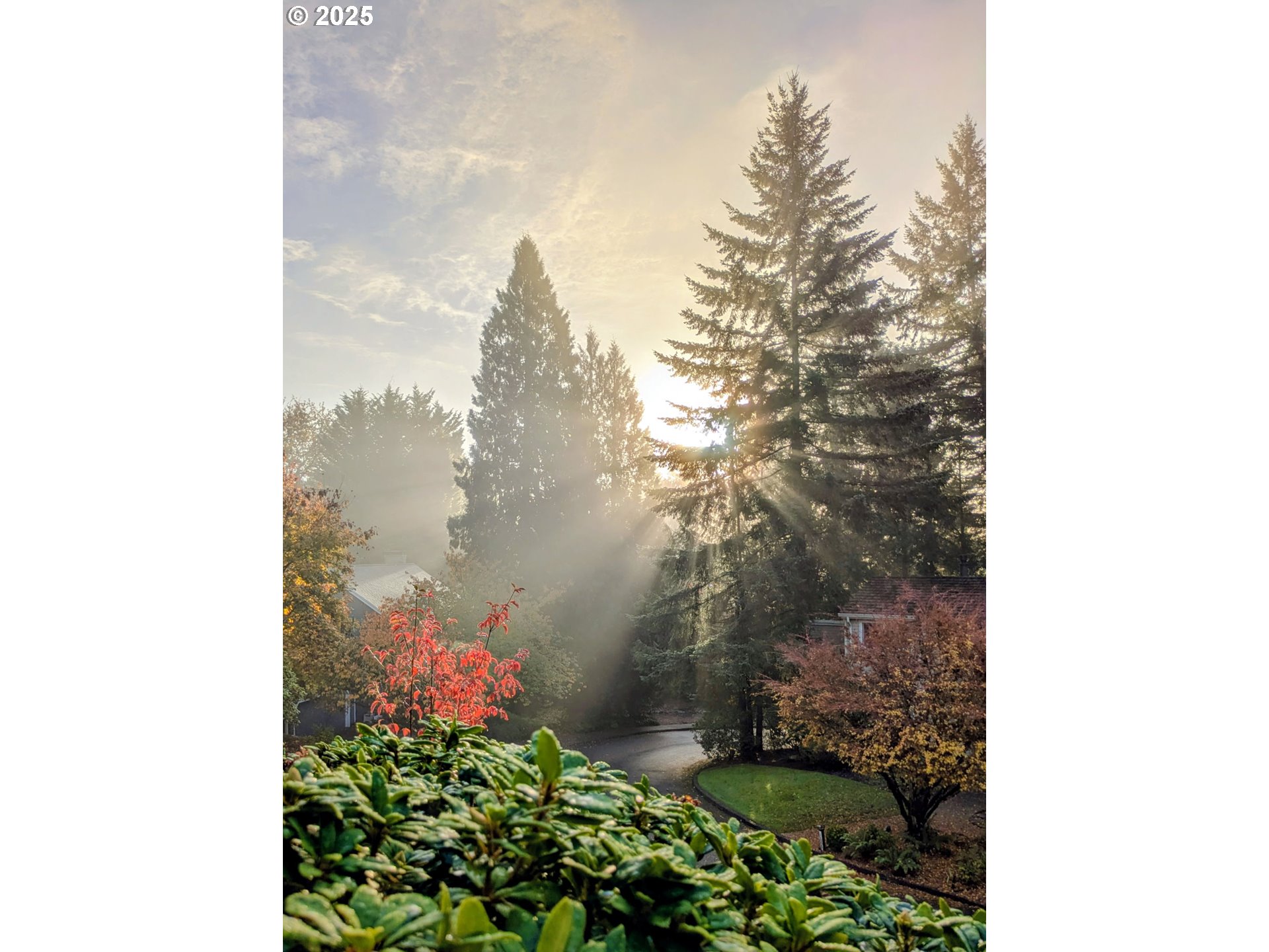 10850 SW CREIGHTONWOOD PL