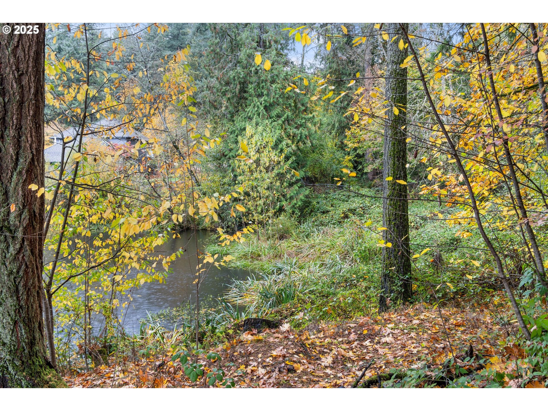 10850 SW CREIGHTONWOOD PL