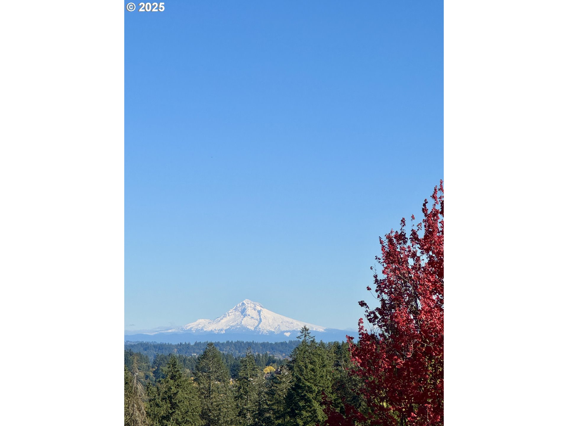 18164 SW FALLATIN LOOP, Beaverton