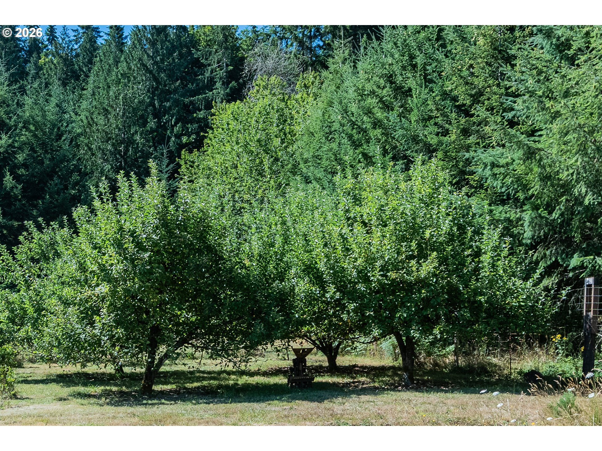 59689 DEER HAVEN LN, St. Helens